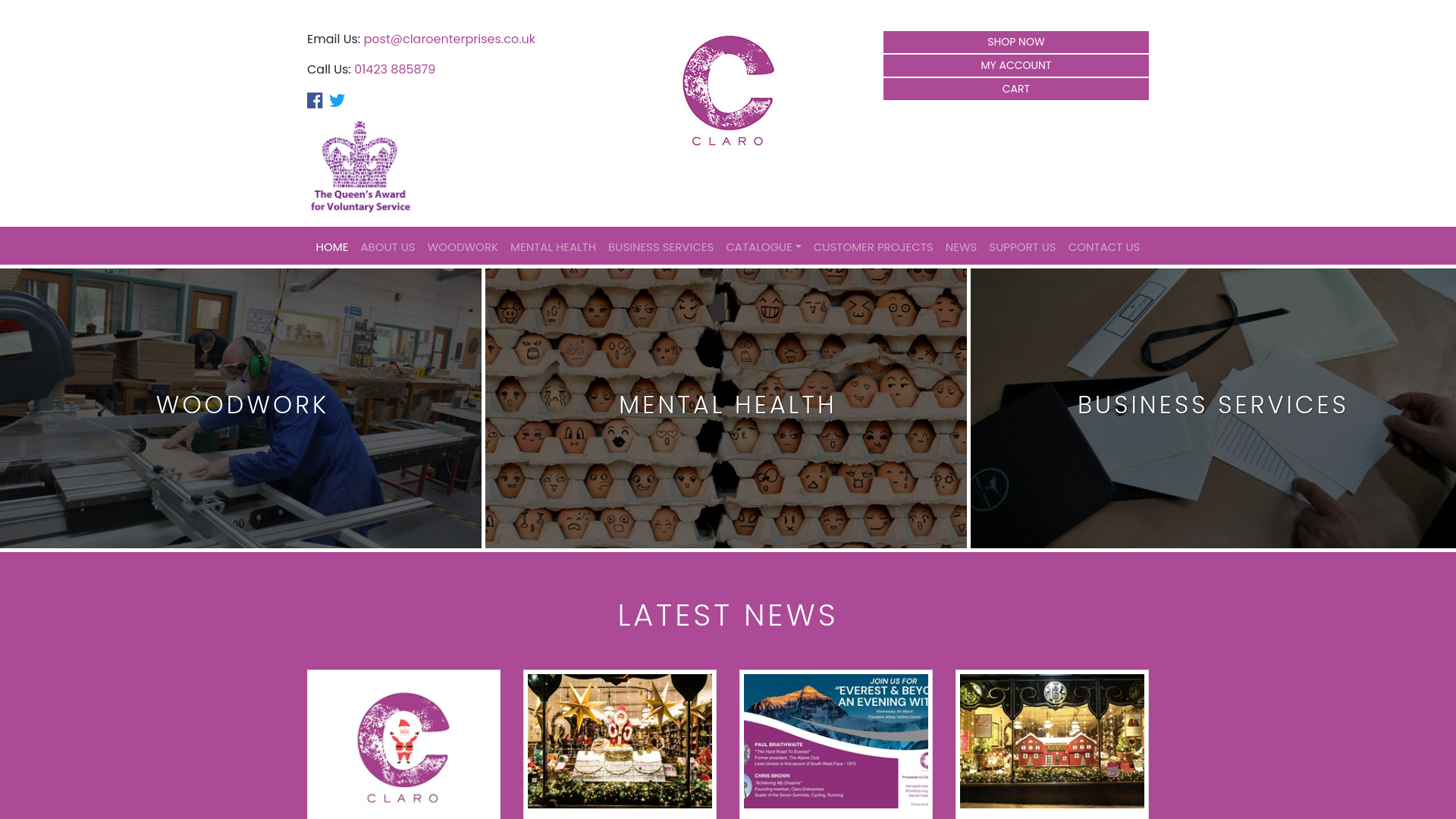 Website screenshot