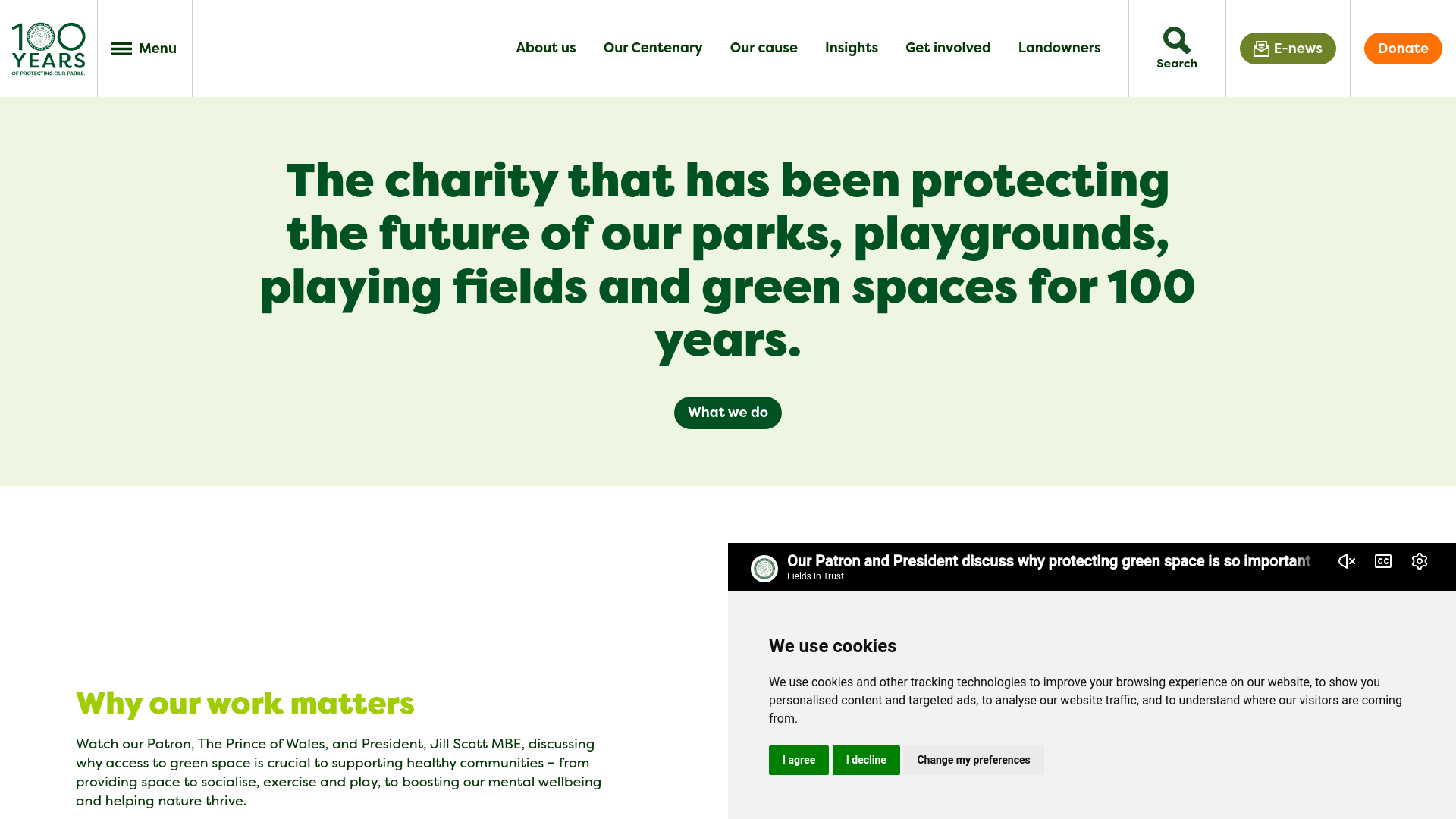 Website screenshot