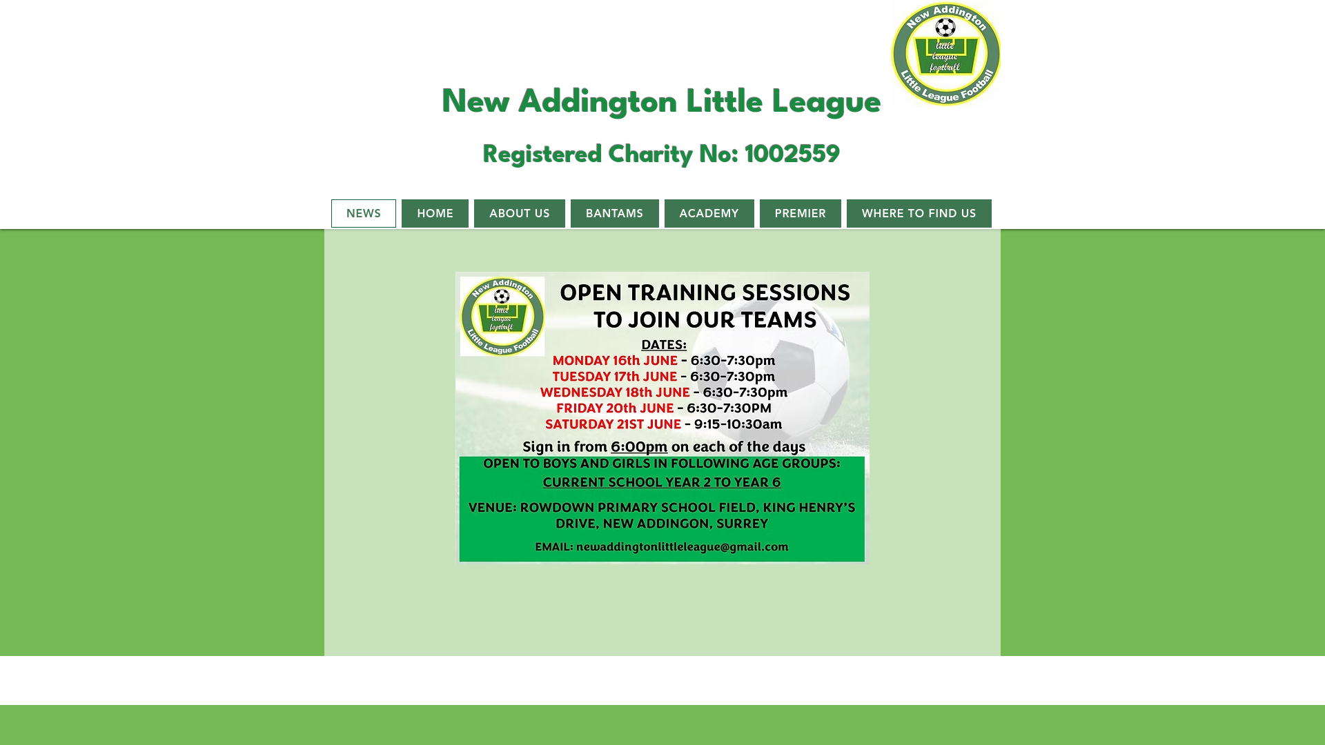 Website screenshot