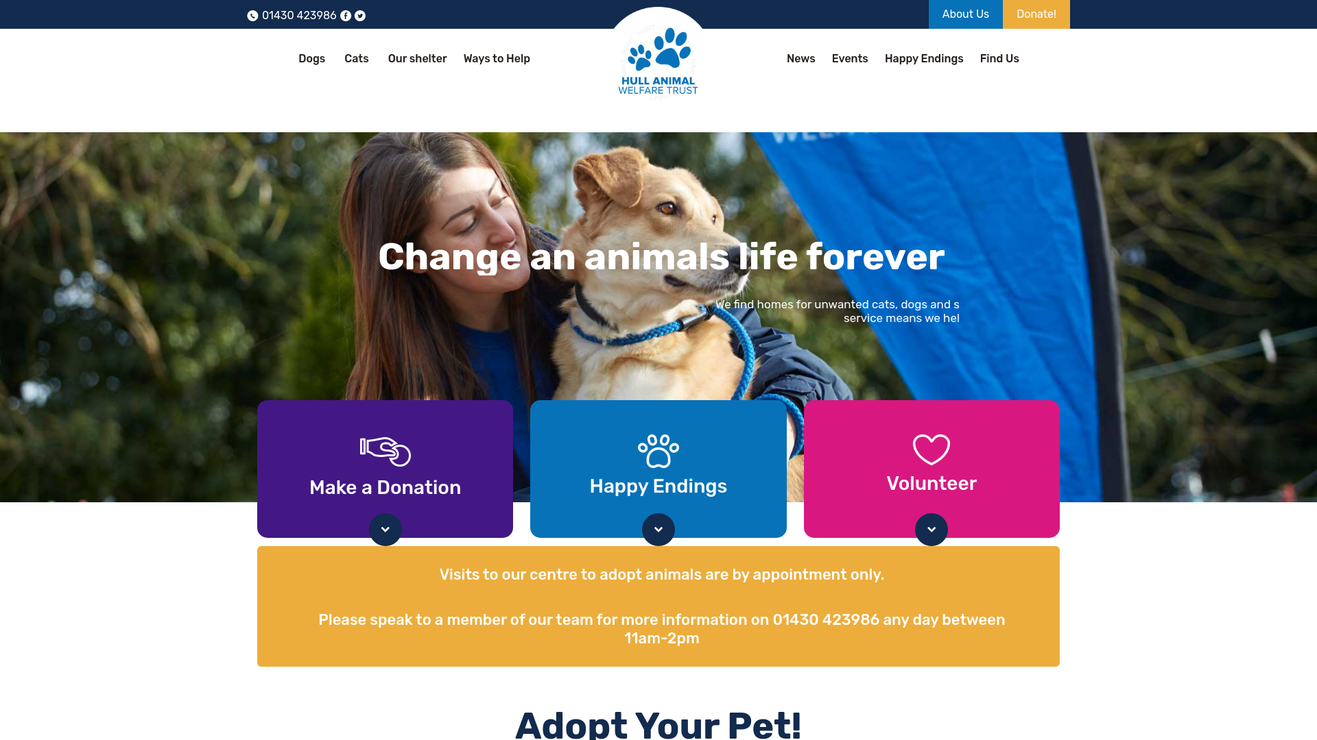 Website screenshot