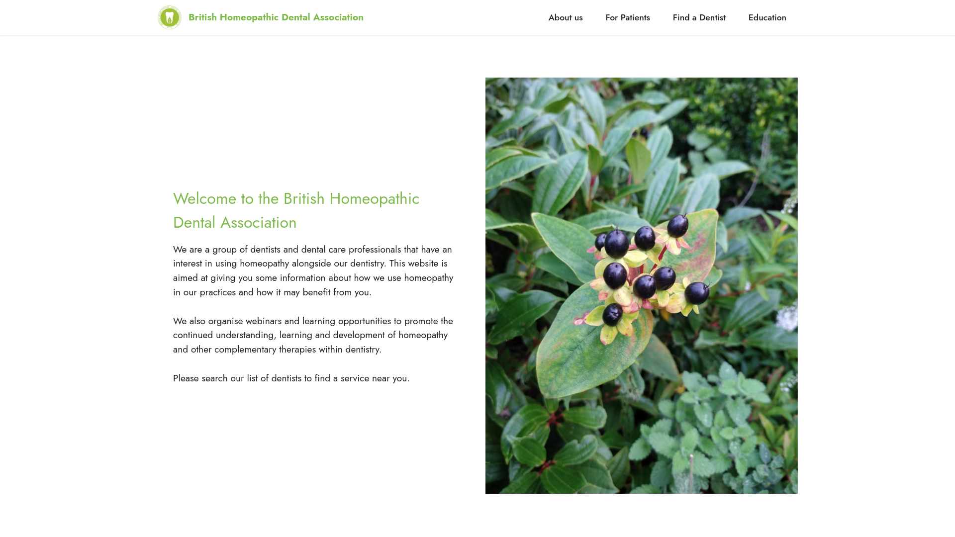 Website screenshot