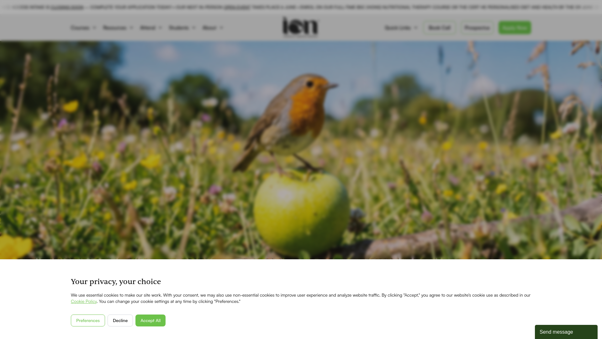 Website screenshot
