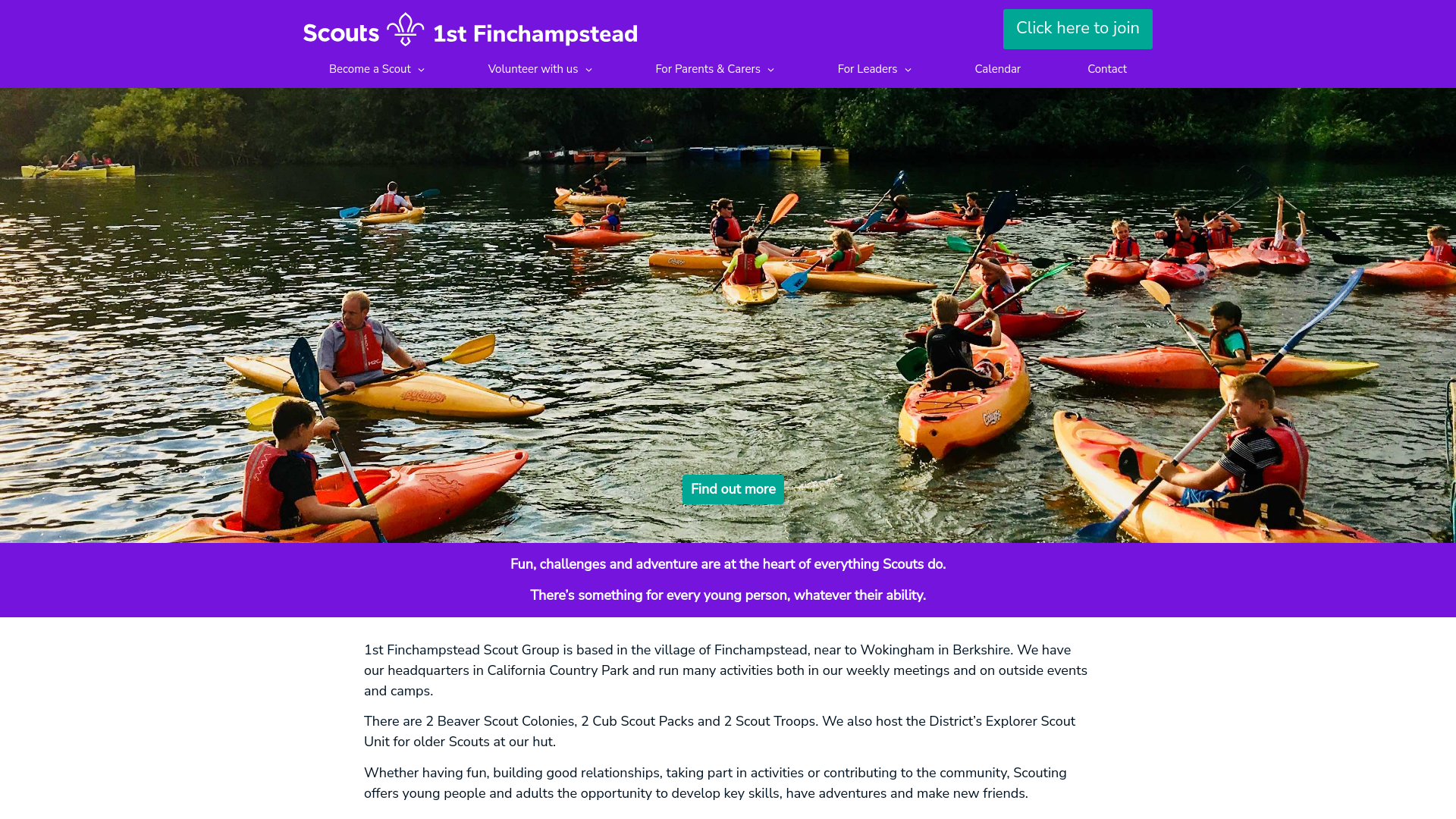 Website screenshot
