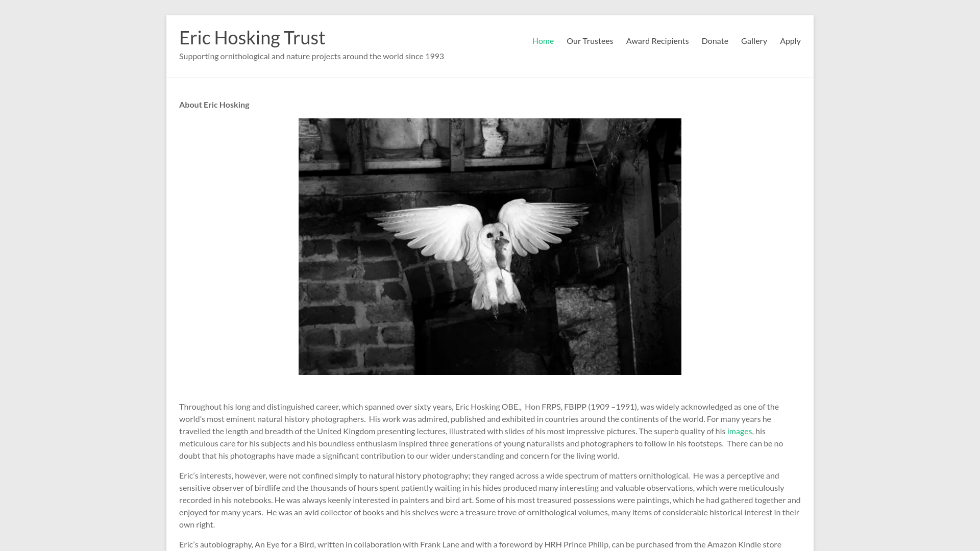 Website screenshot