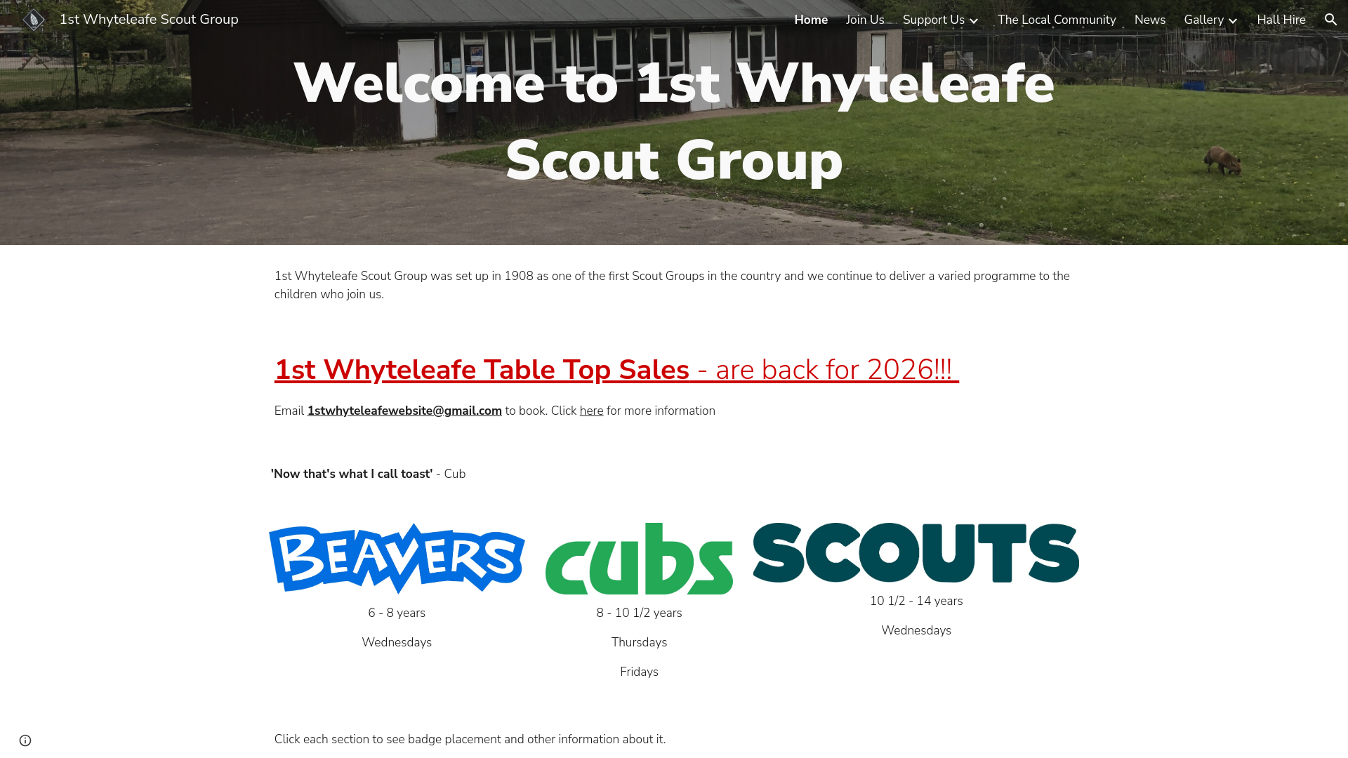 Website screenshot