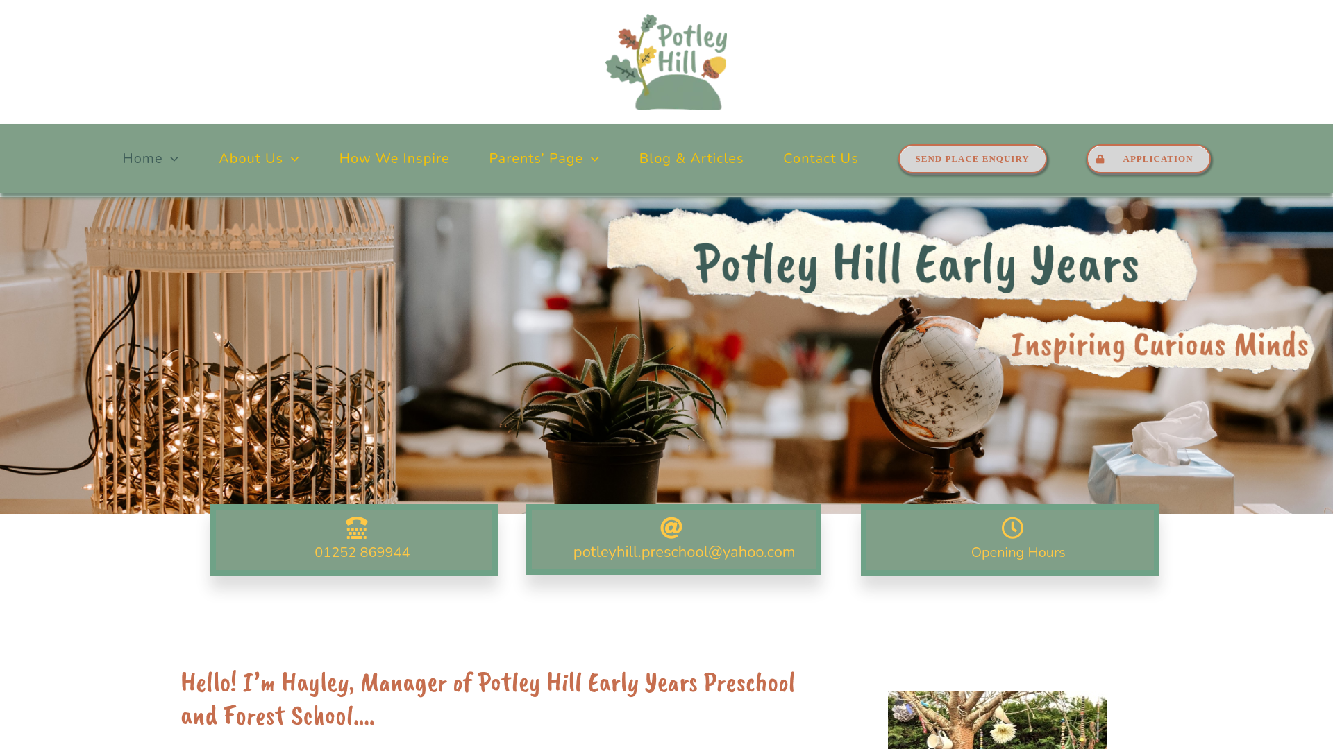 Website screenshot
