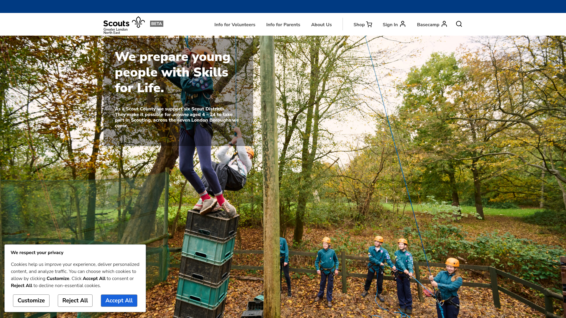 Website screenshot