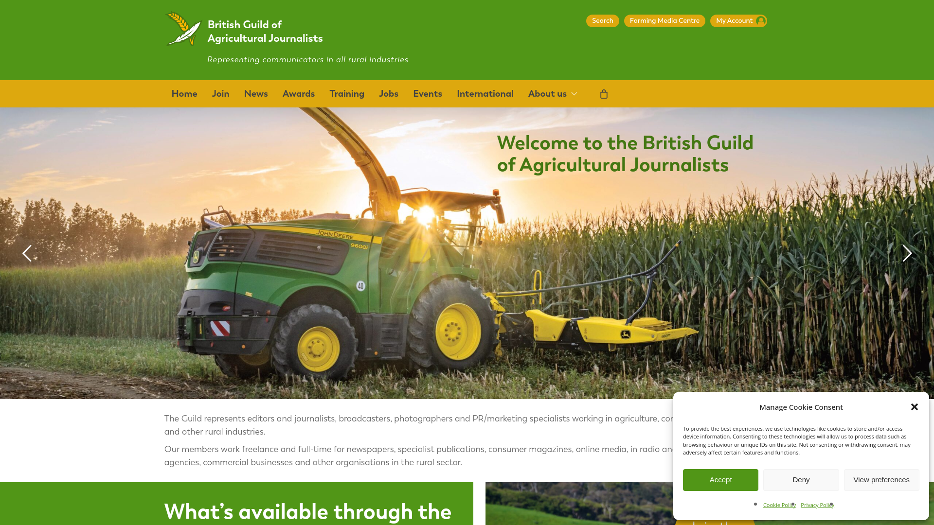 Website screenshot