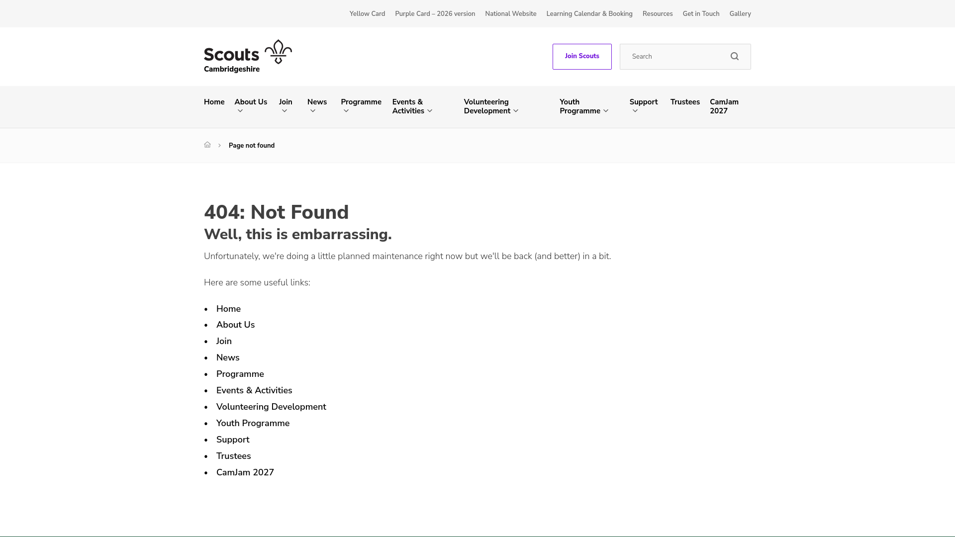 Website screenshot