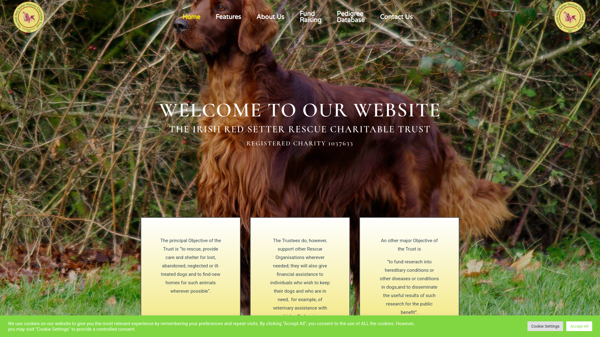 Website screenshot