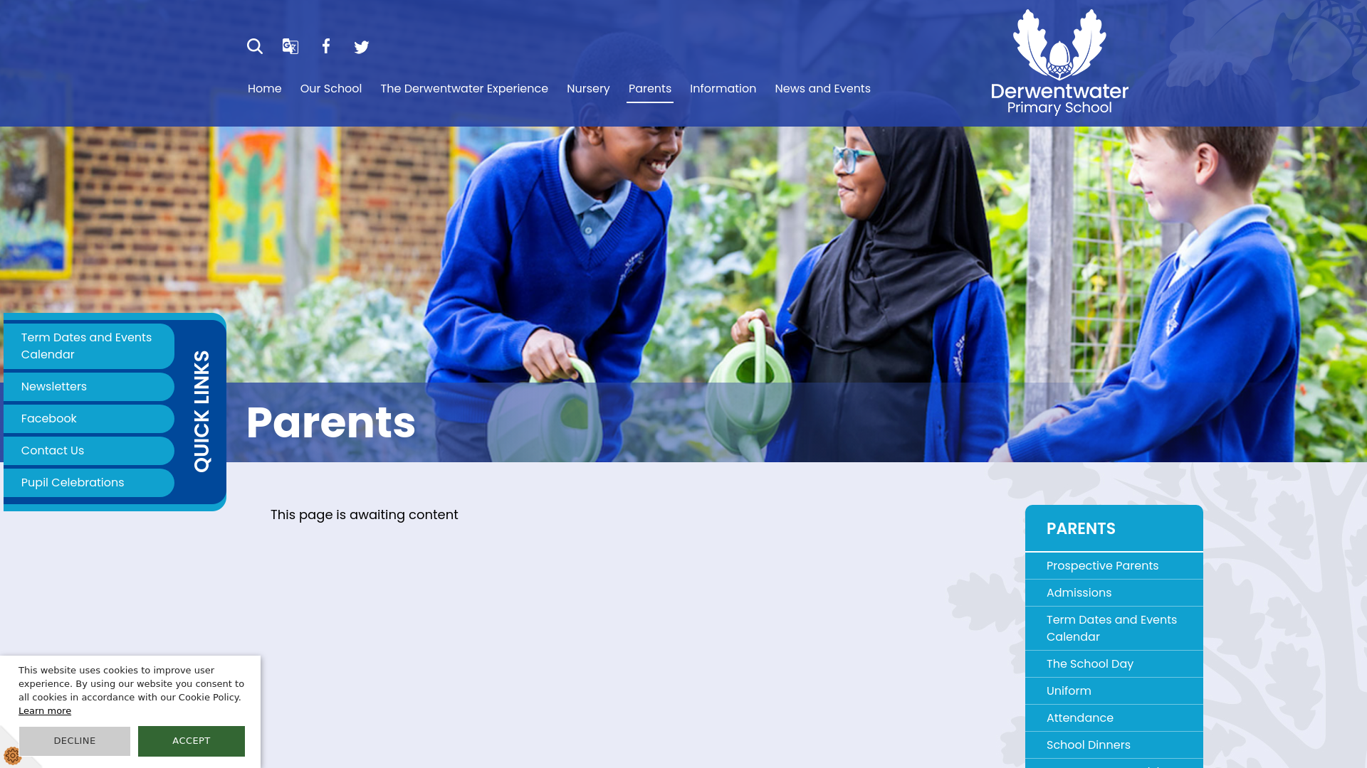 Website screenshot