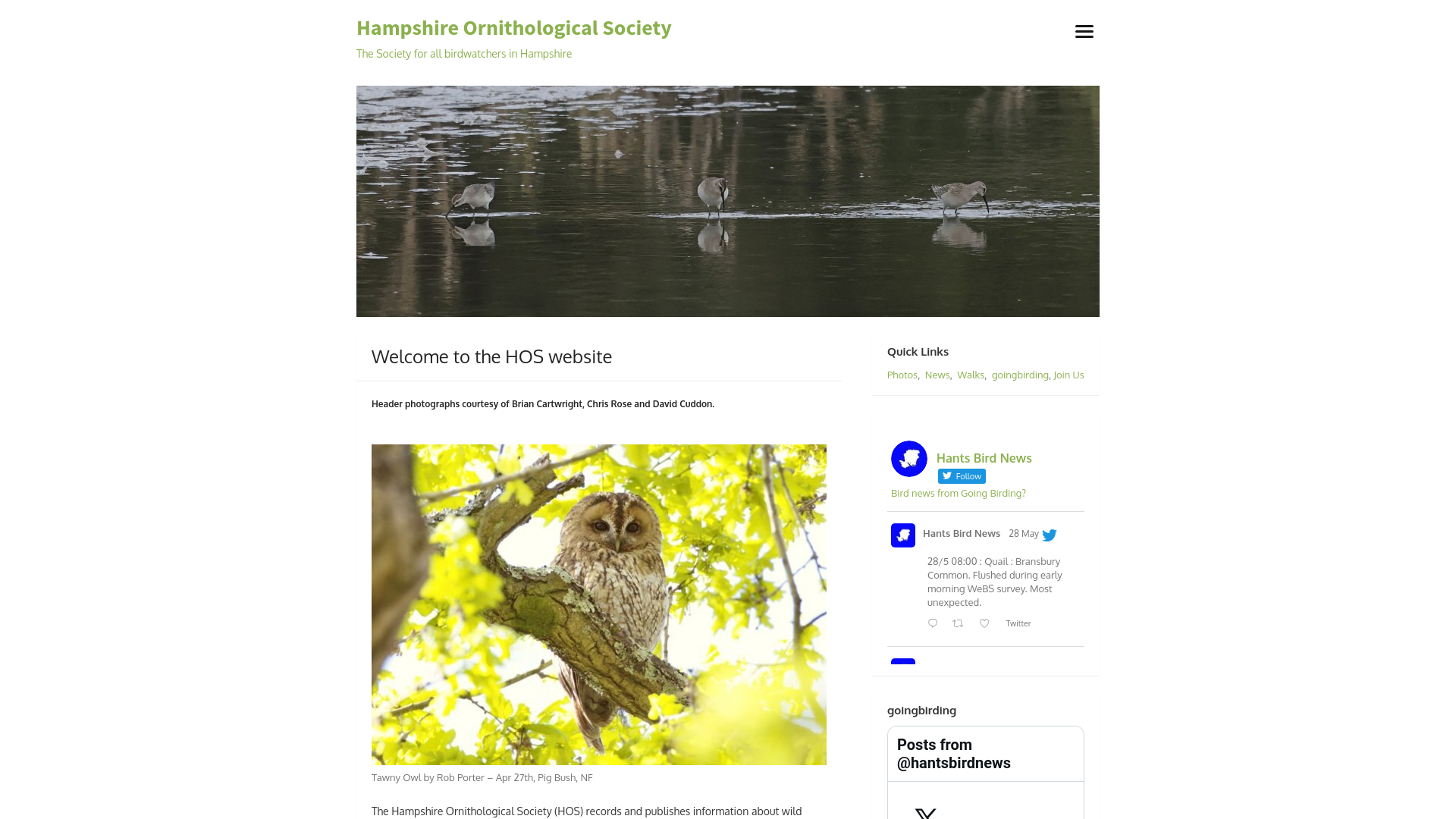 Website screenshot