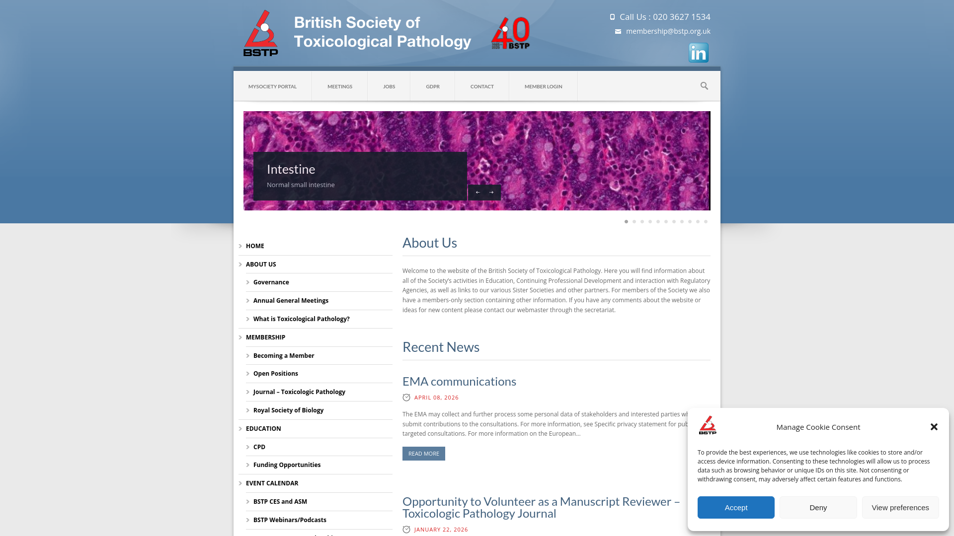 Website screenshot
