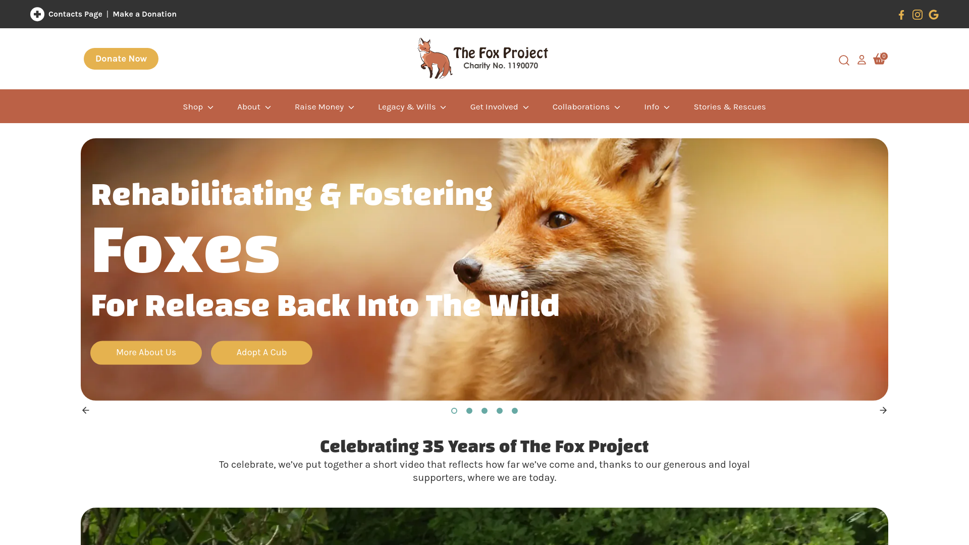 Website screenshot