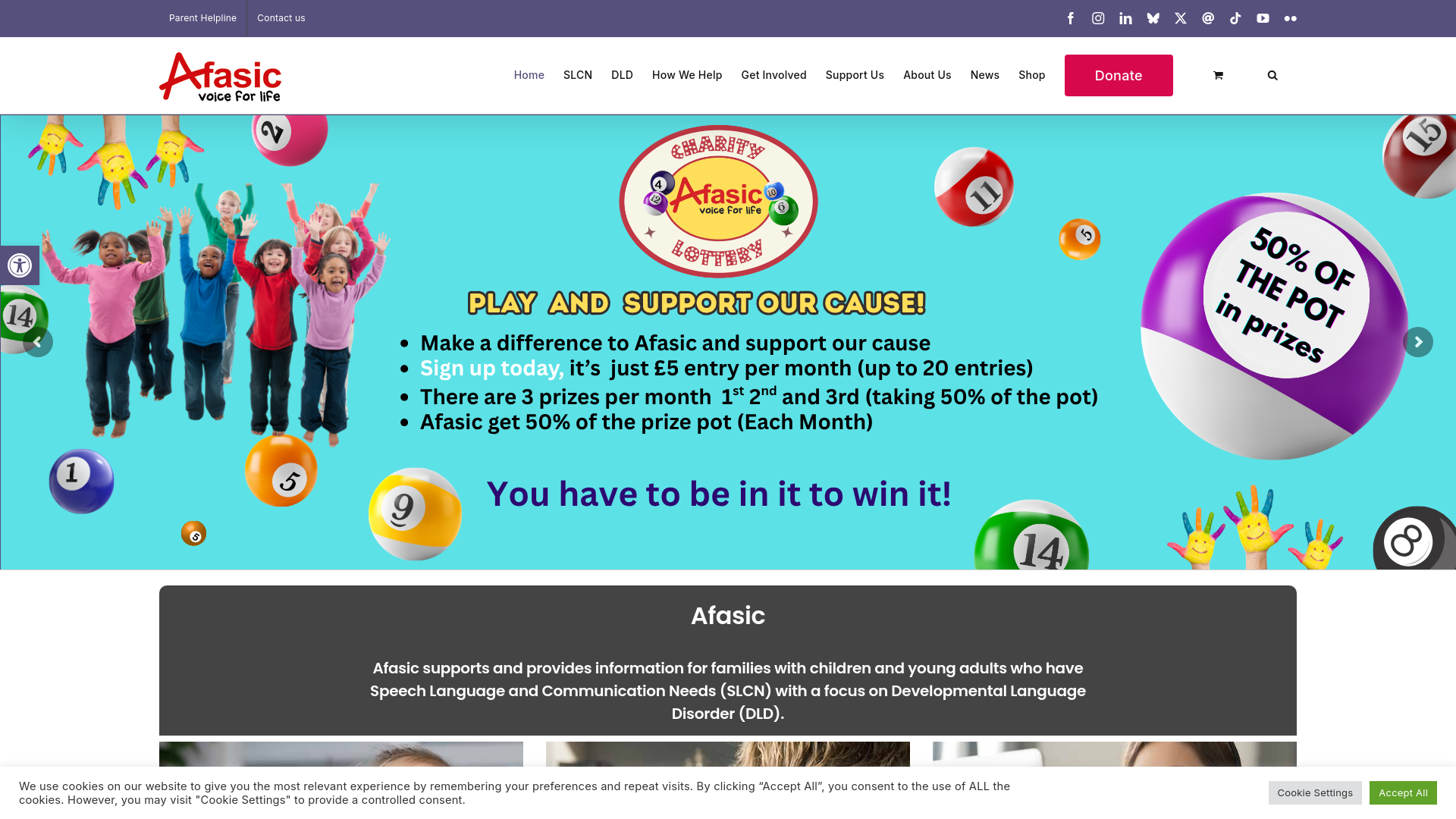 Website screenshot