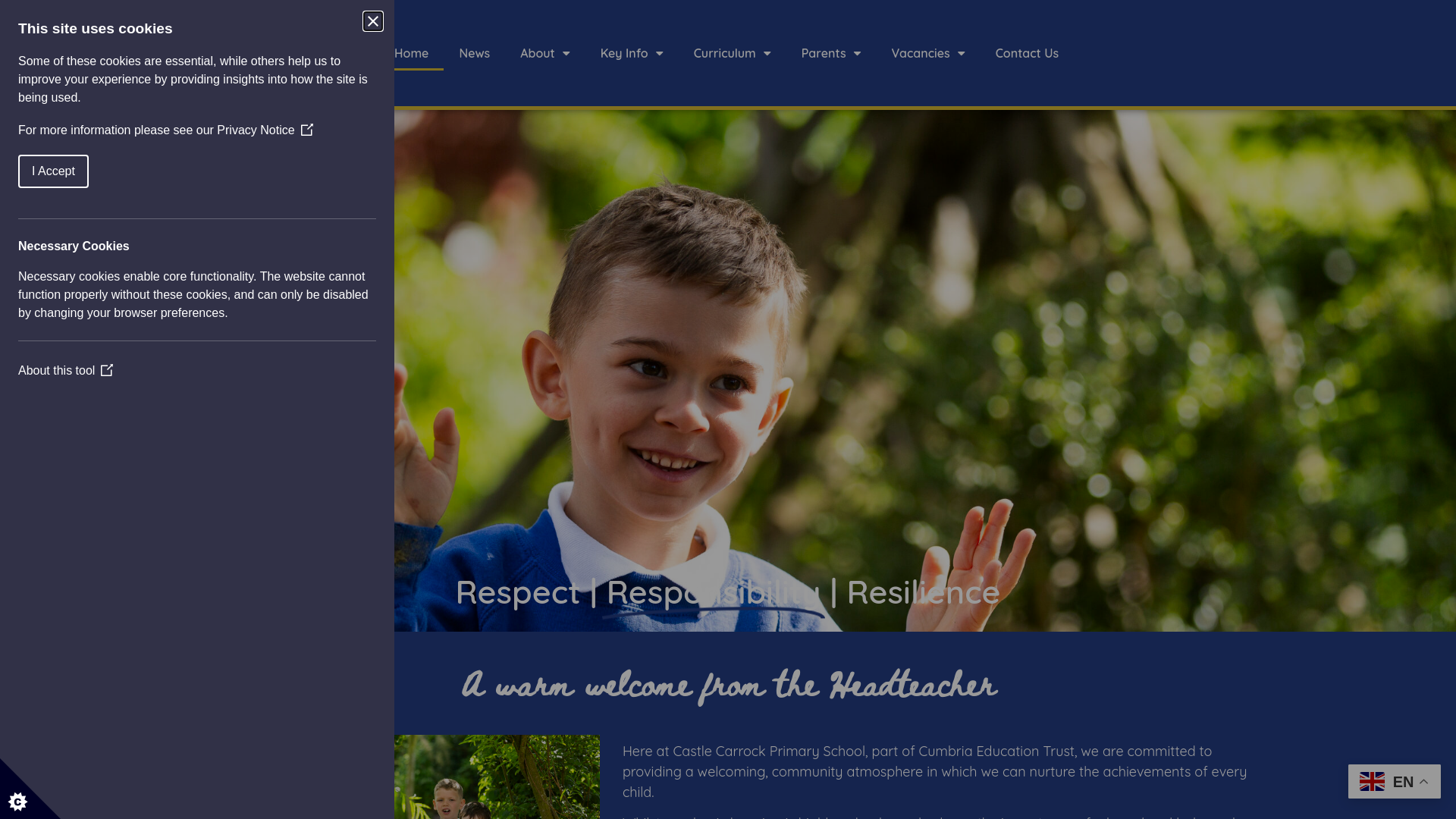 Website screenshot
