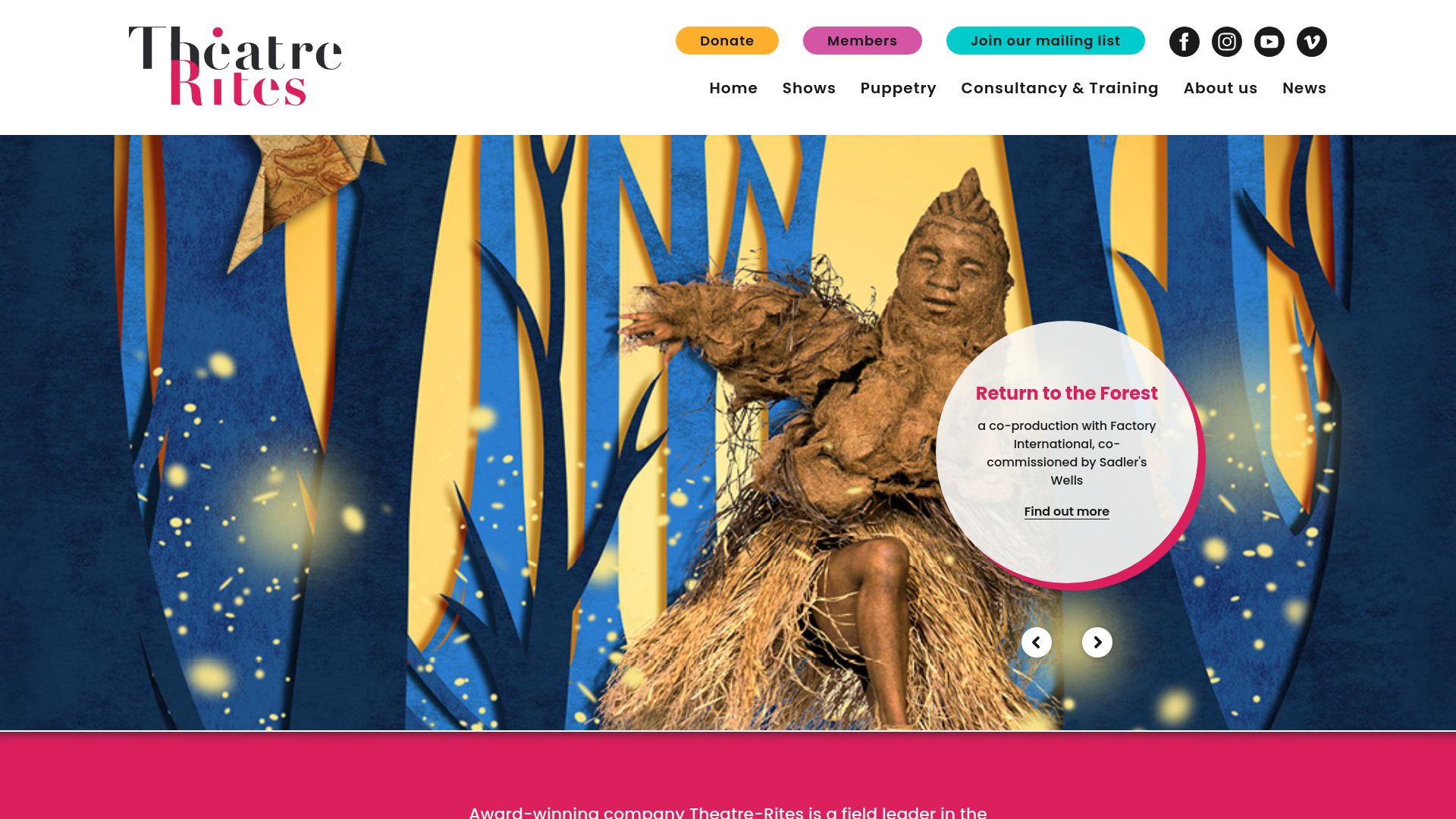 Website screenshot