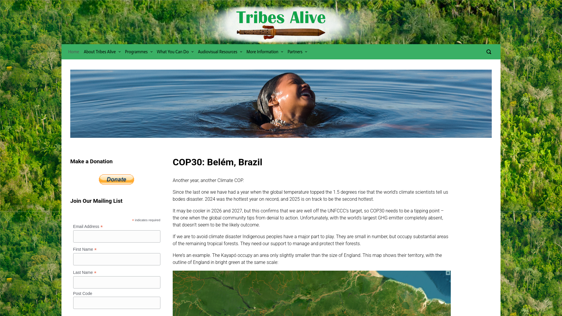 Website screenshot