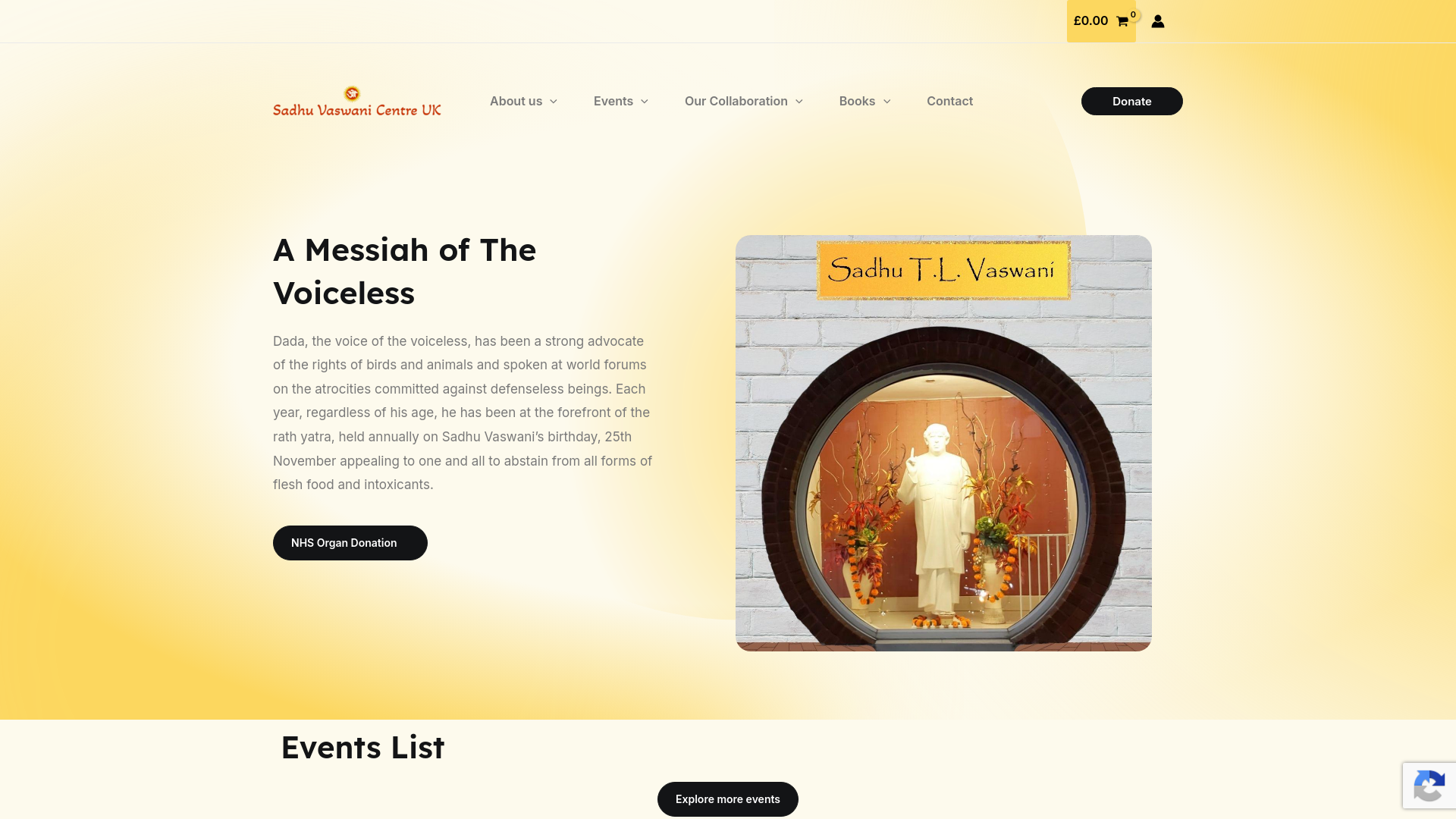 Website screenshot