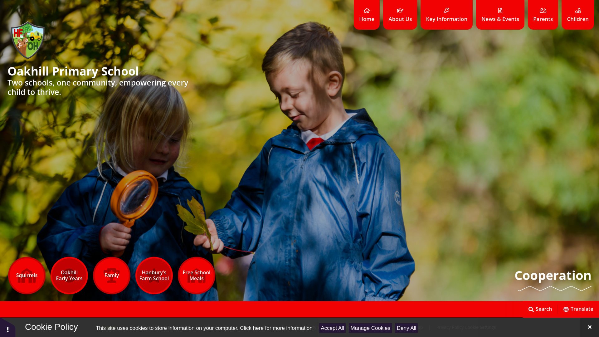 Website screenshot
