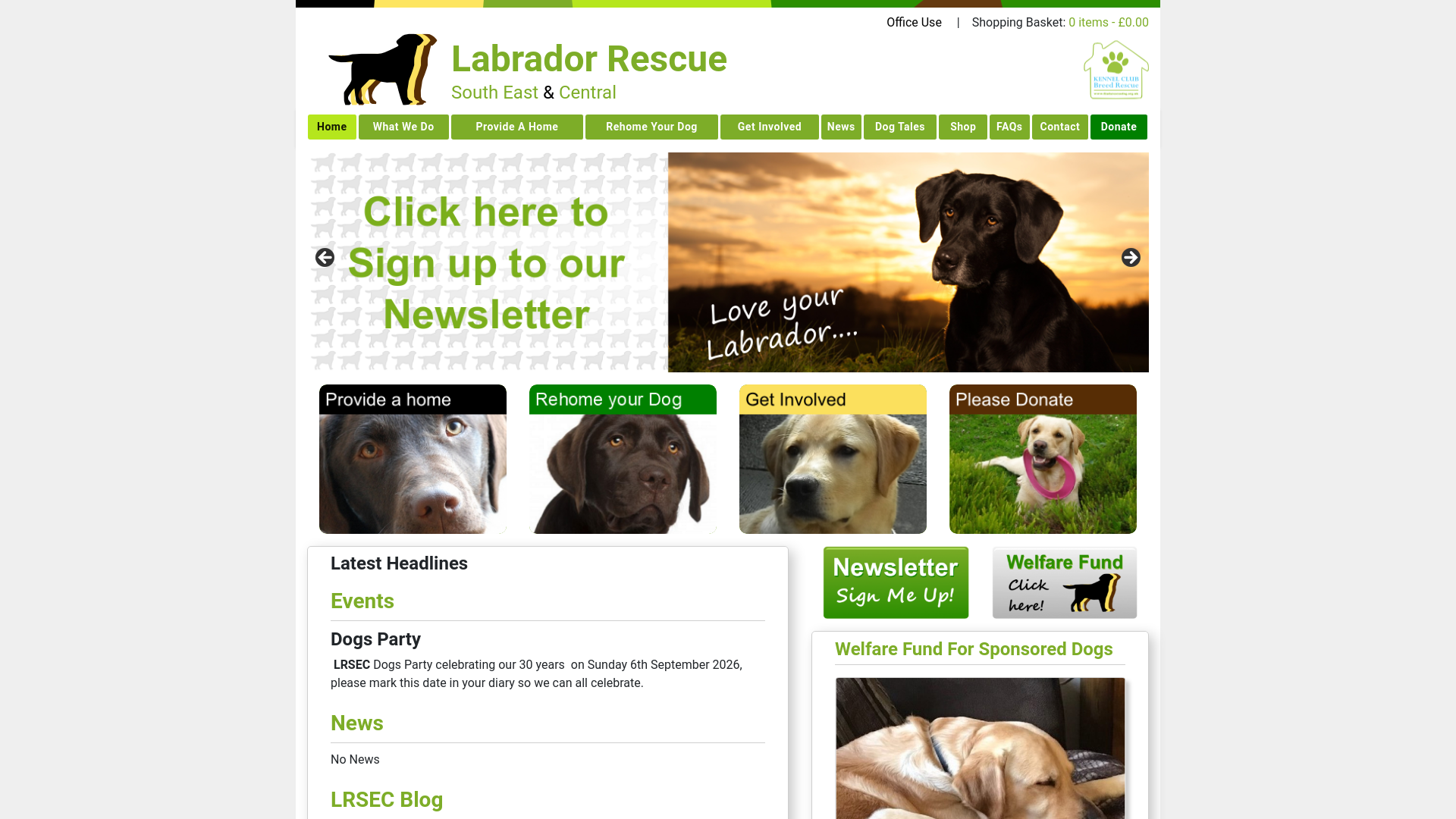 Website screenshot