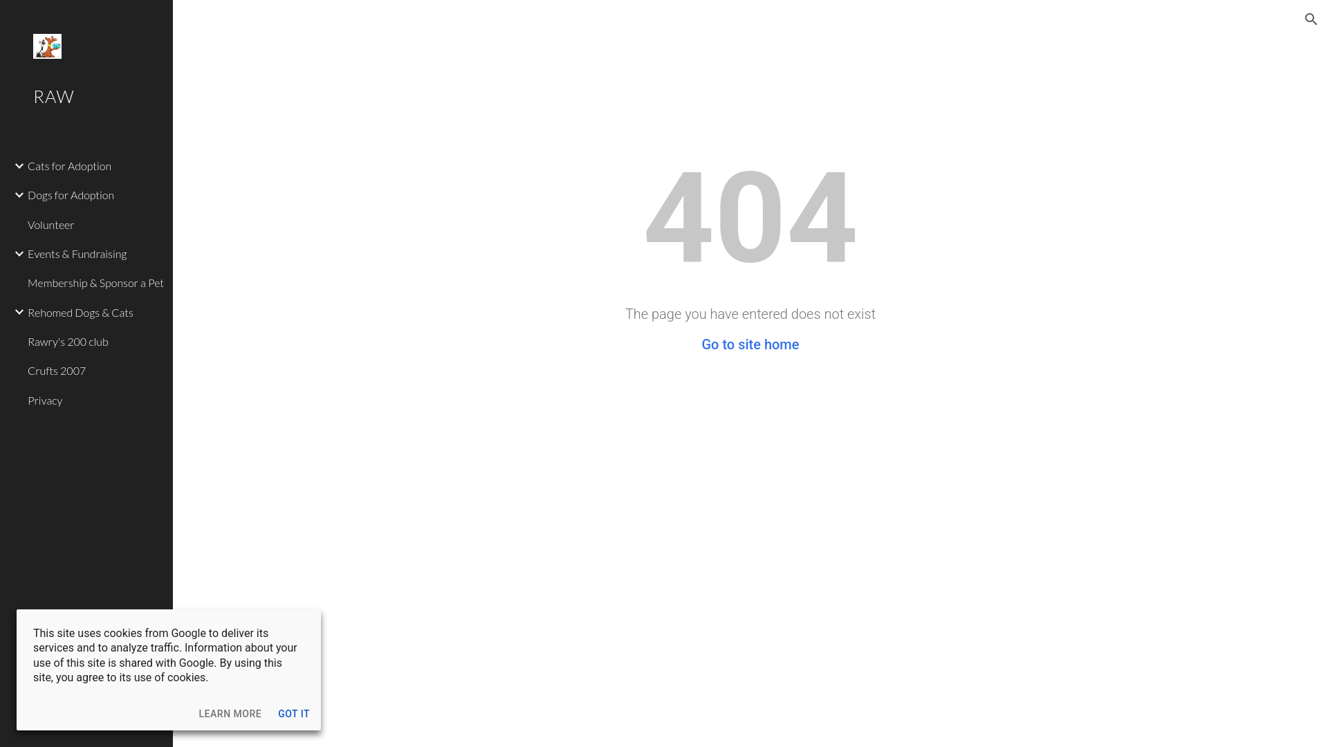 Website screenshot