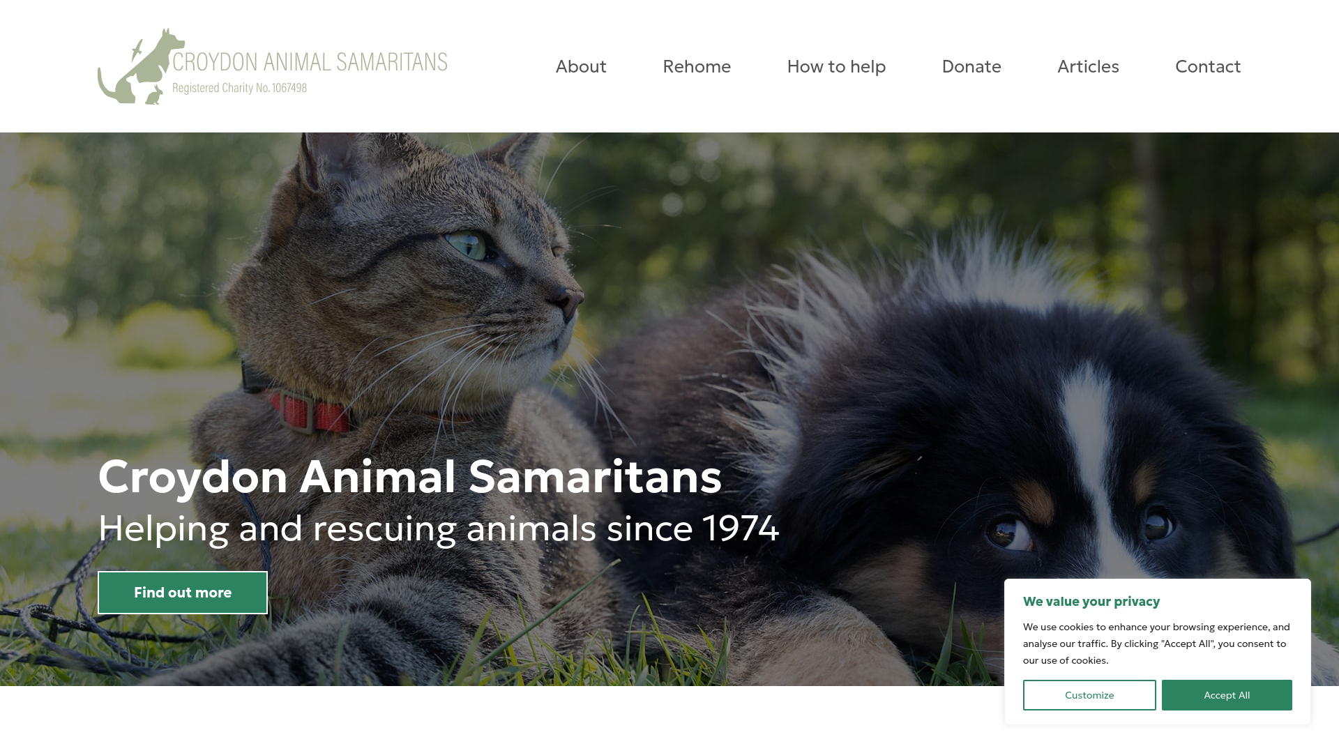 Website screenshot