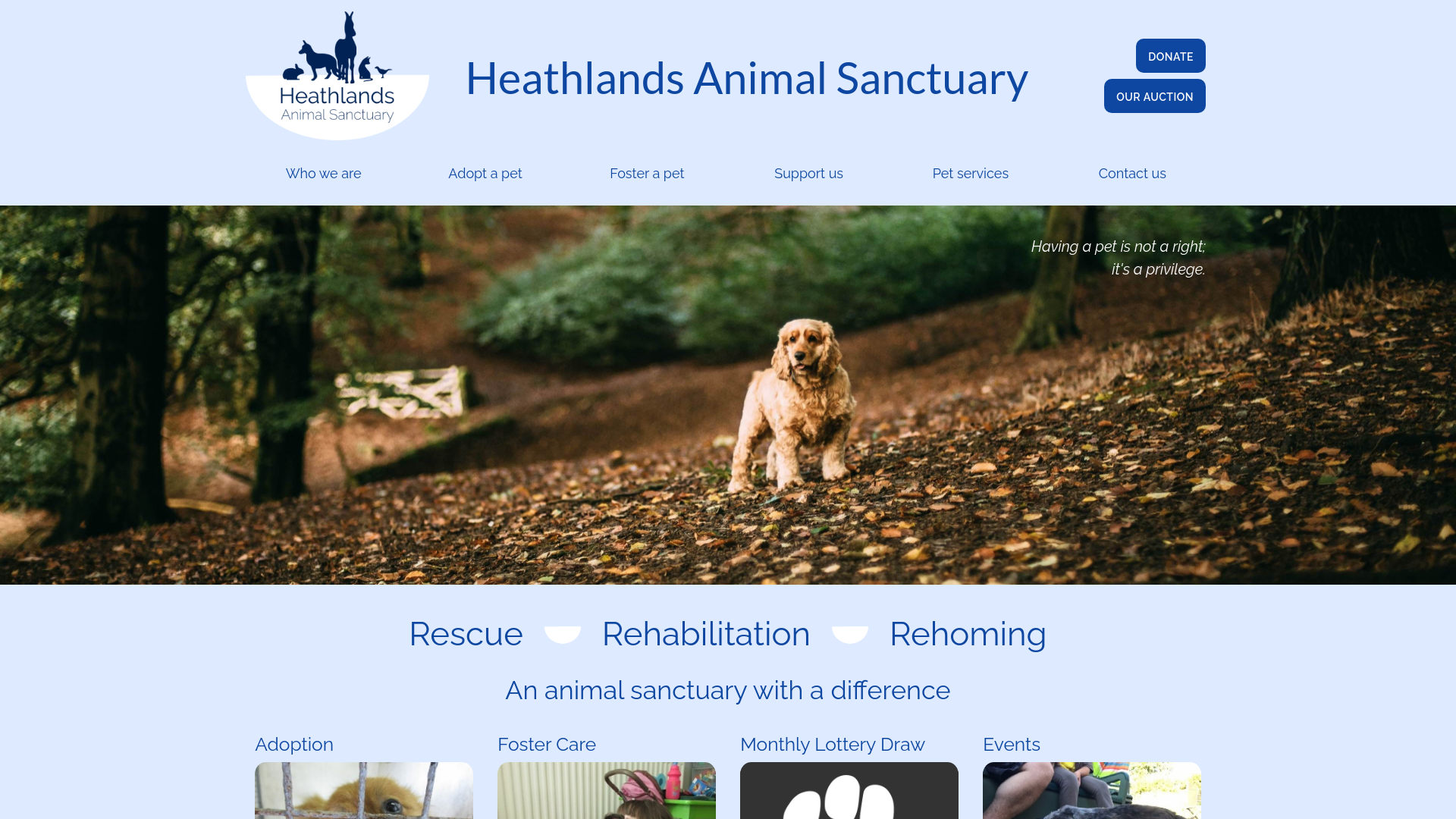 Website screenshot