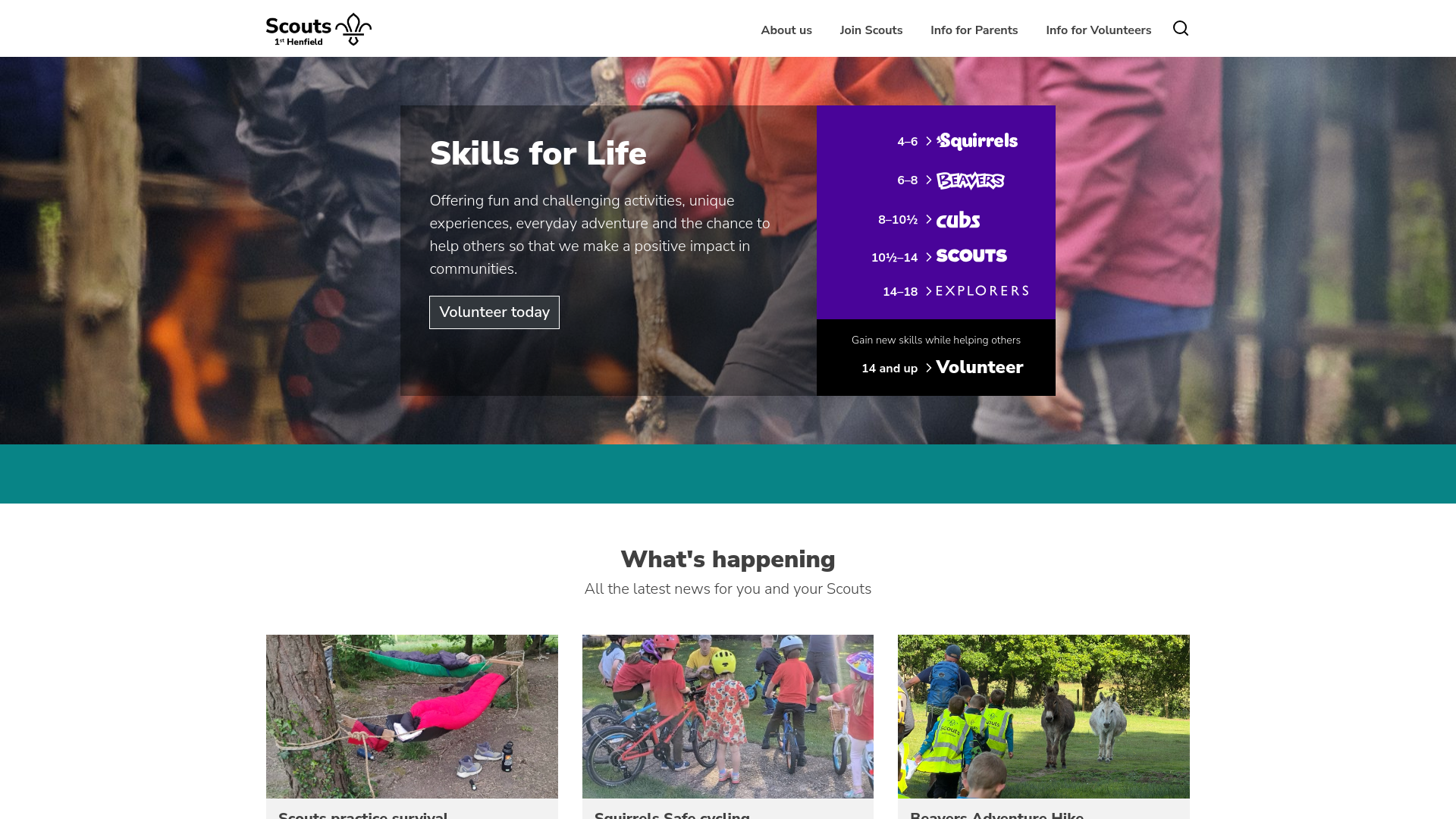 Website screenshot