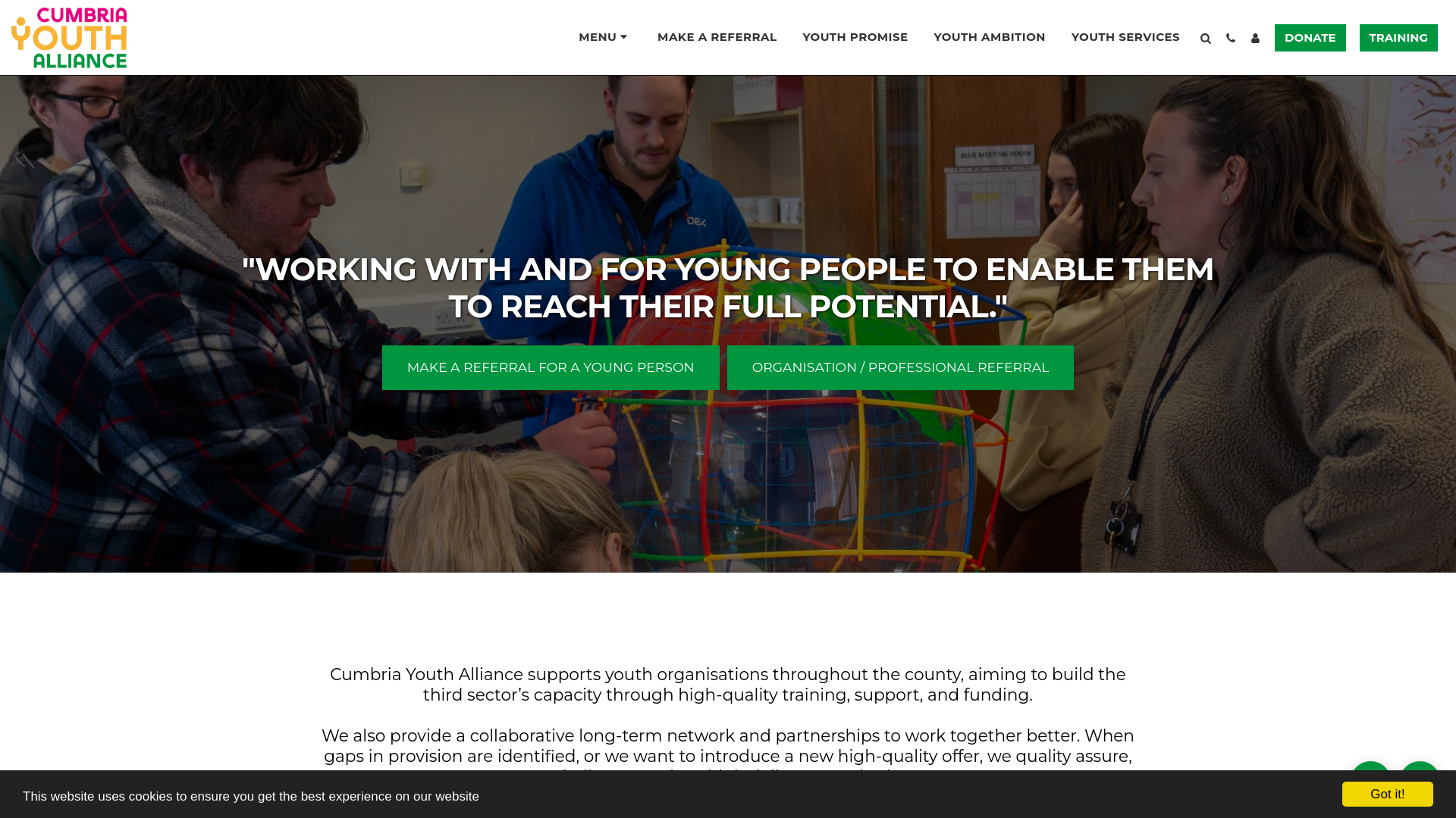 Website screenshot