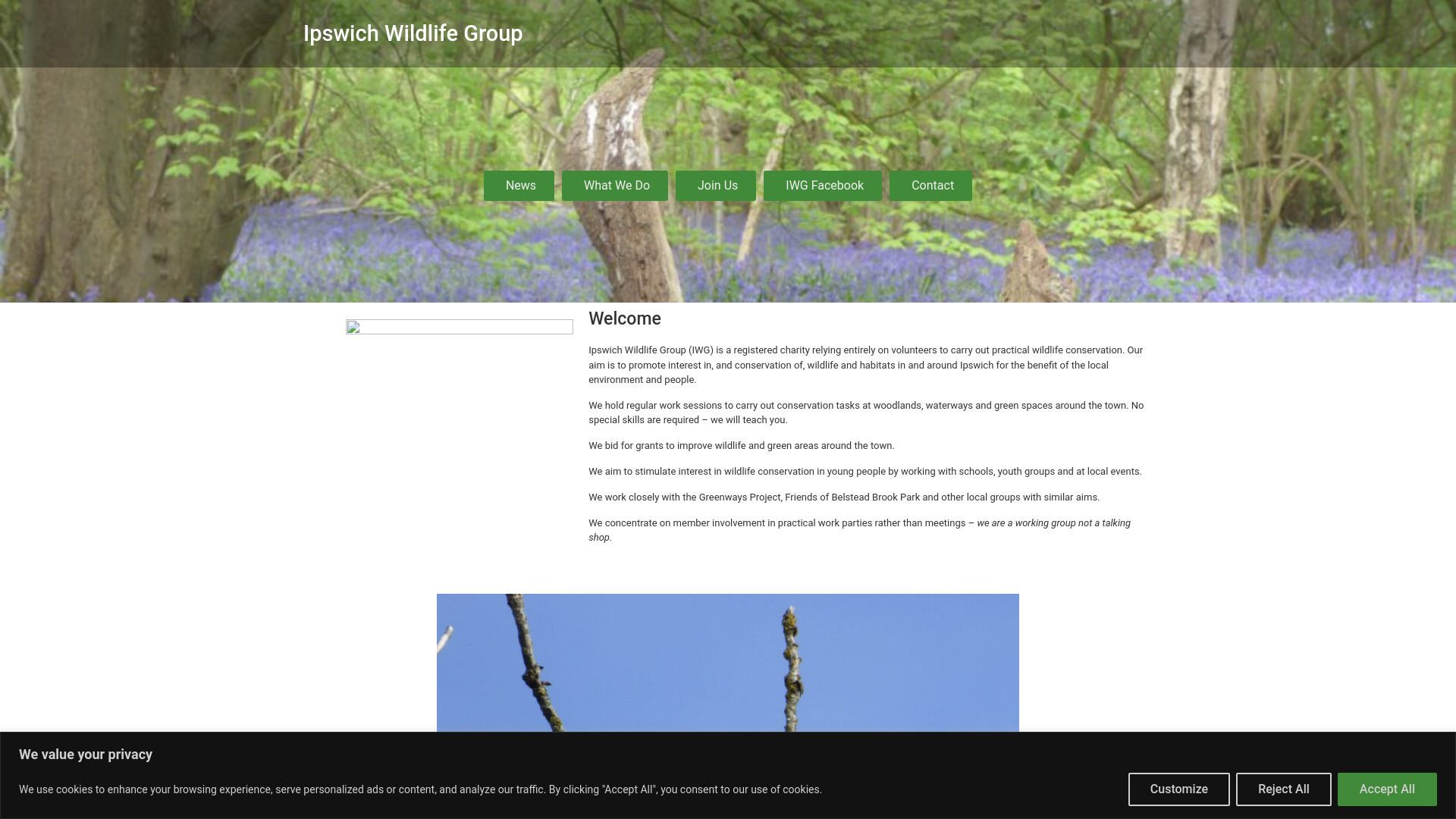Website screenshot