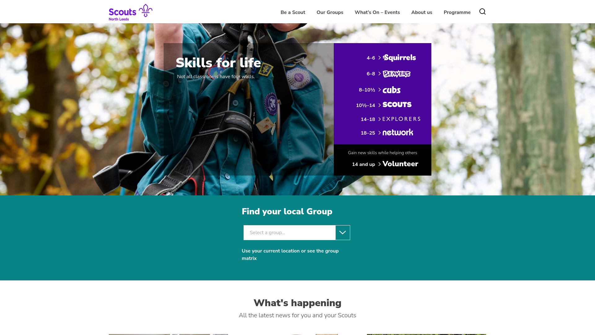 Website screenshot