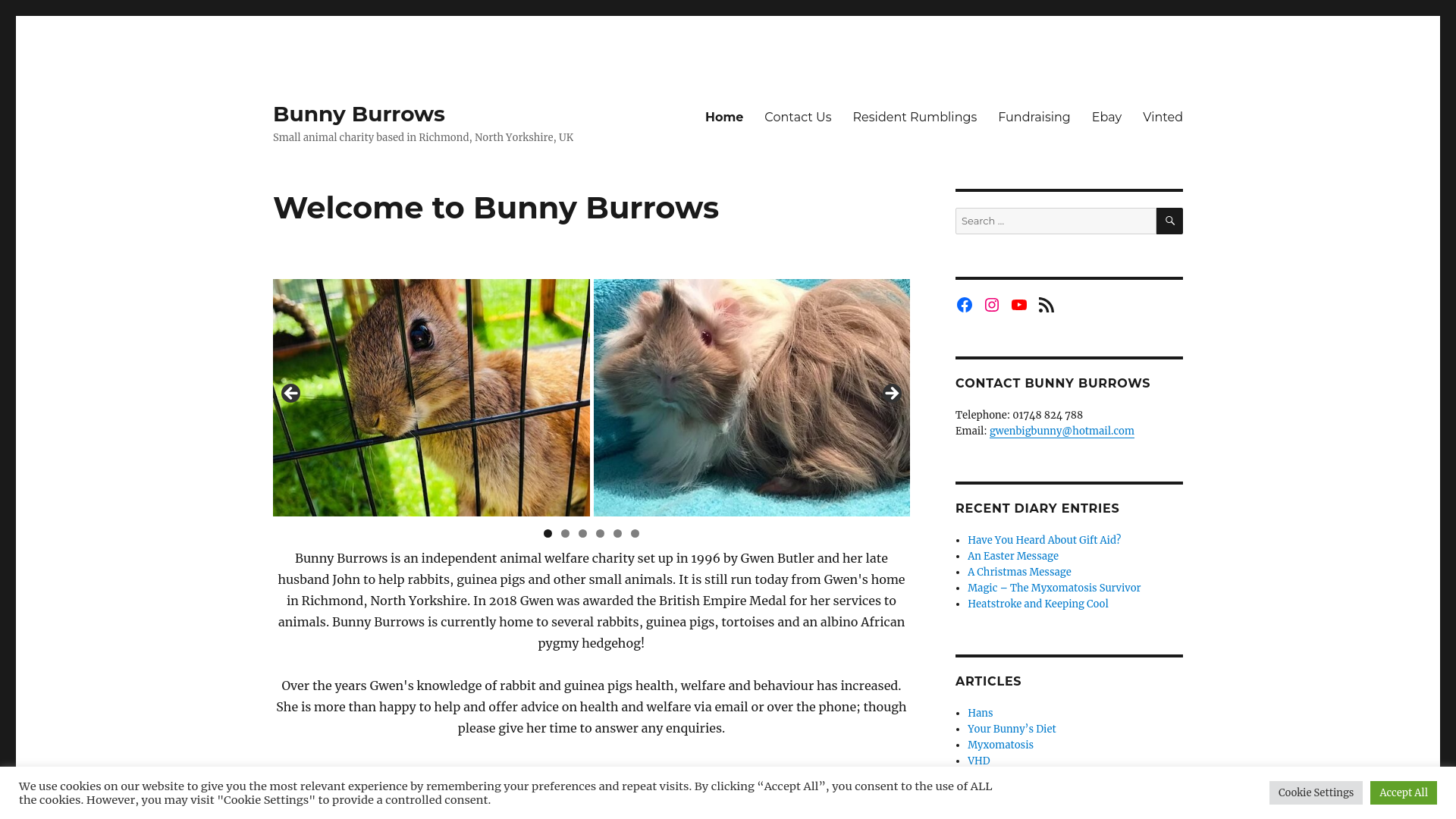 Website screenshot