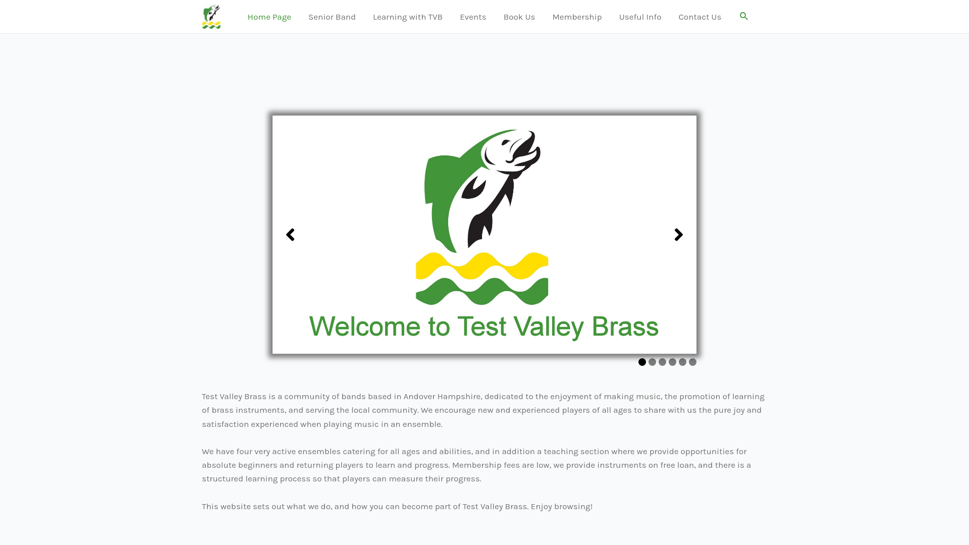 Website screenshot