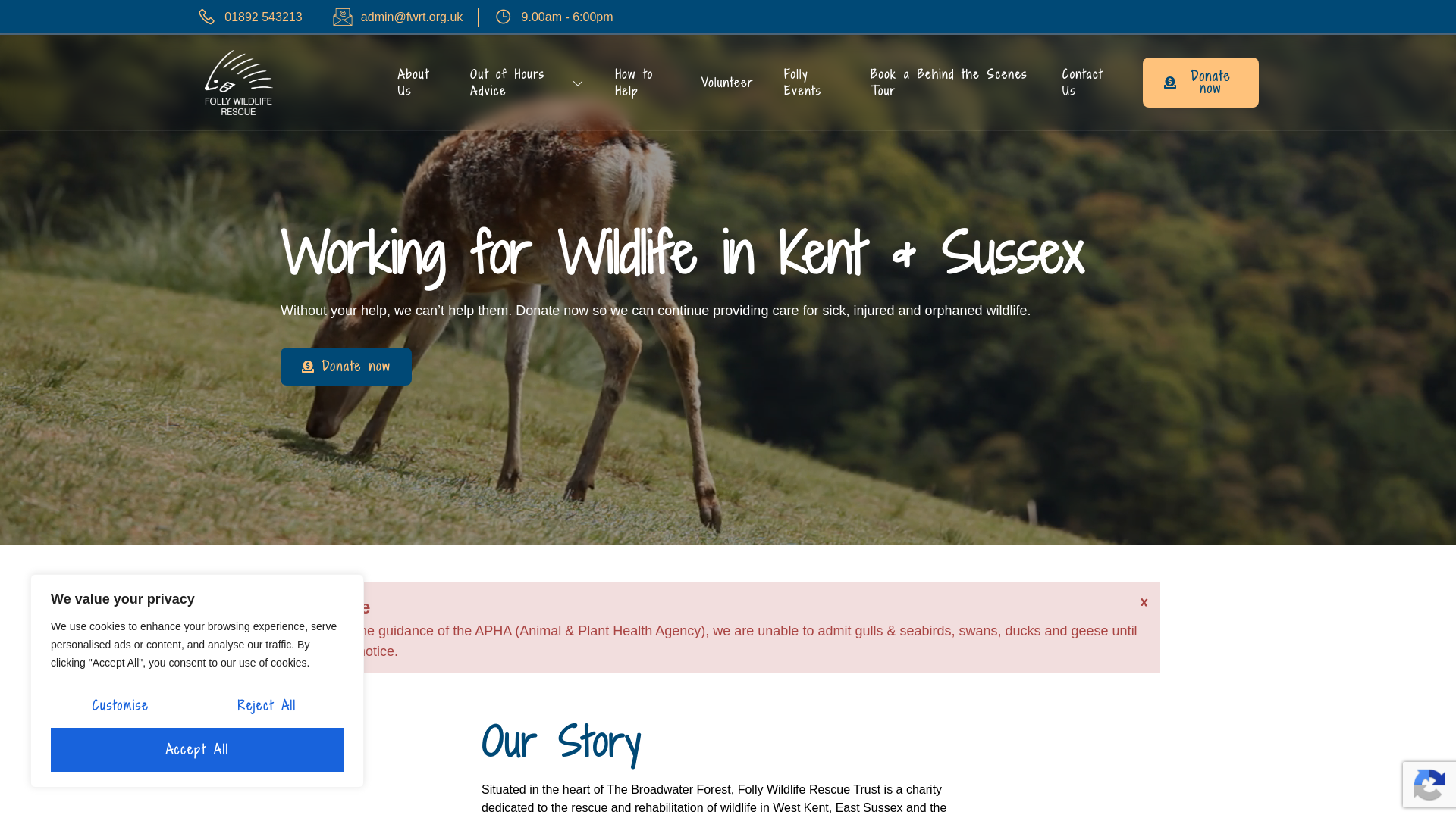 Website screenshot