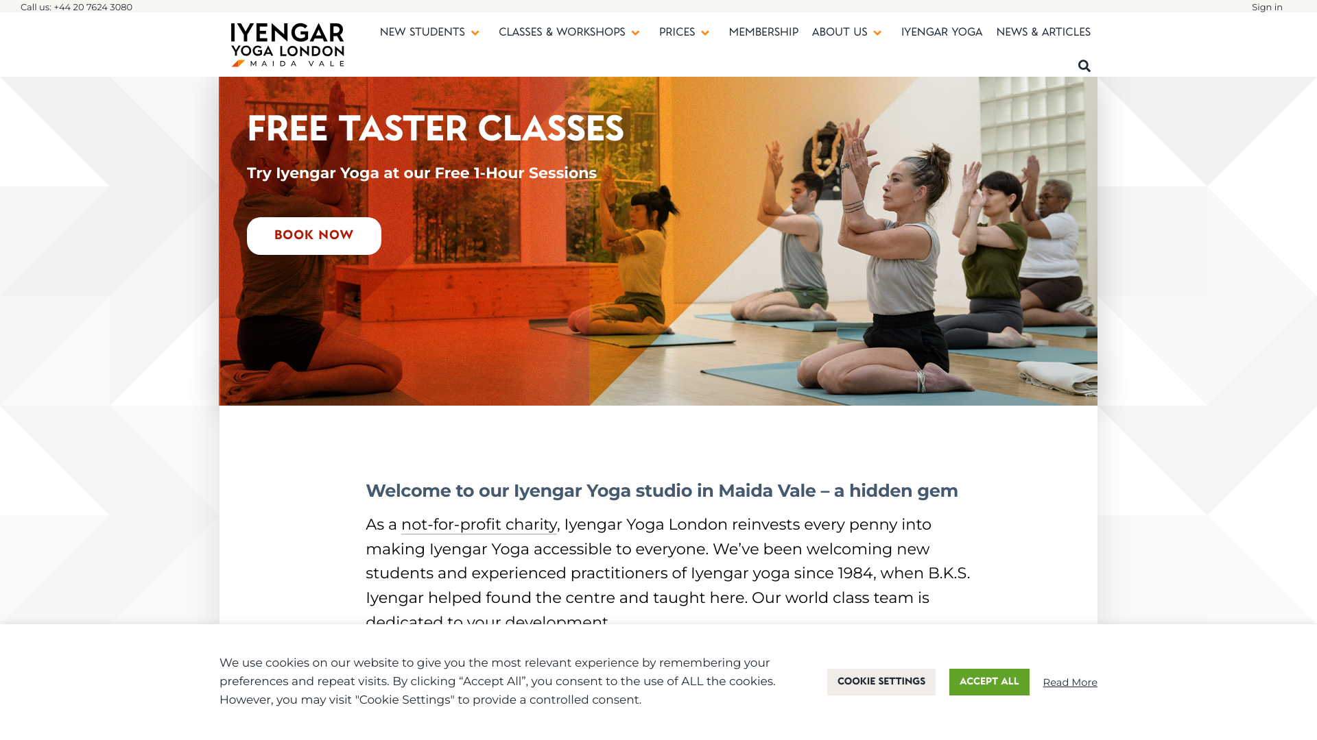 Website screenshot