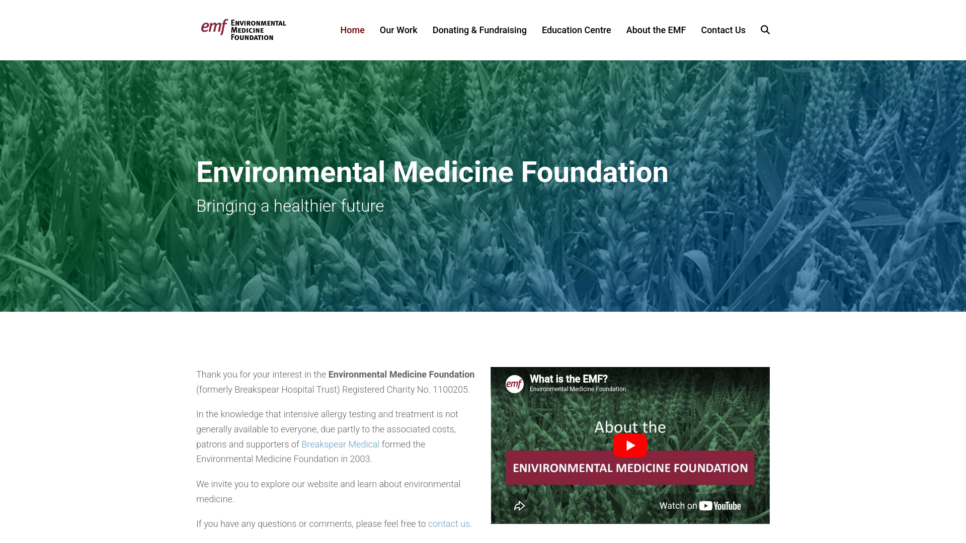 Website screenshot