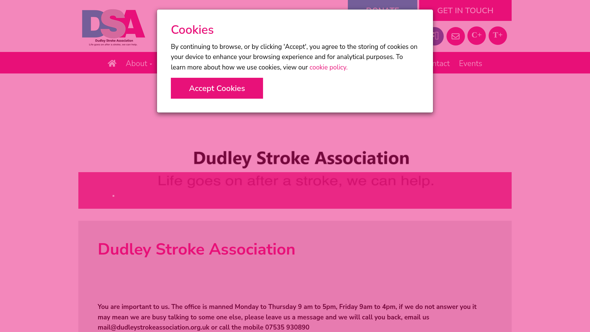 Website screenshot