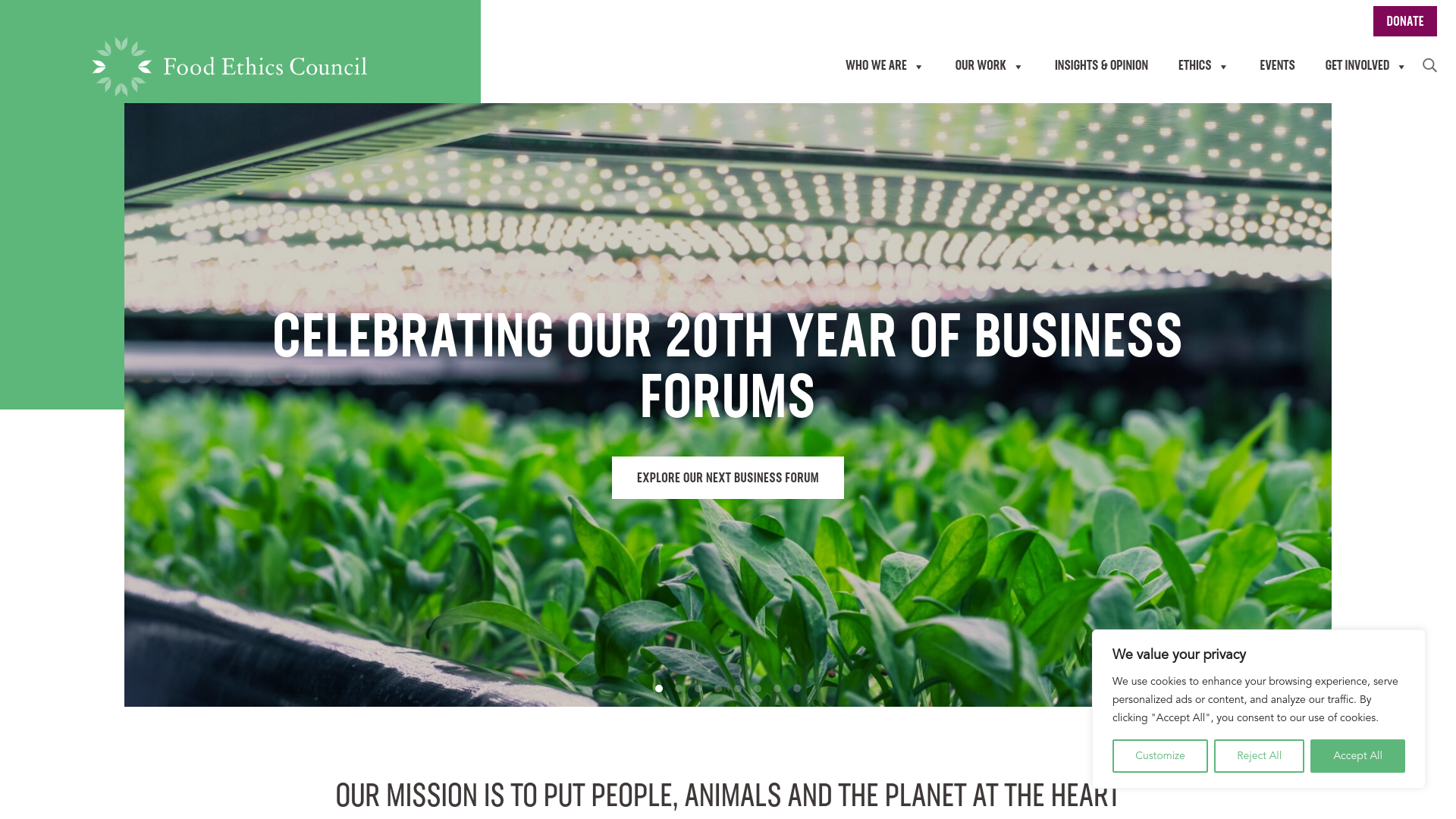 Website screenshot