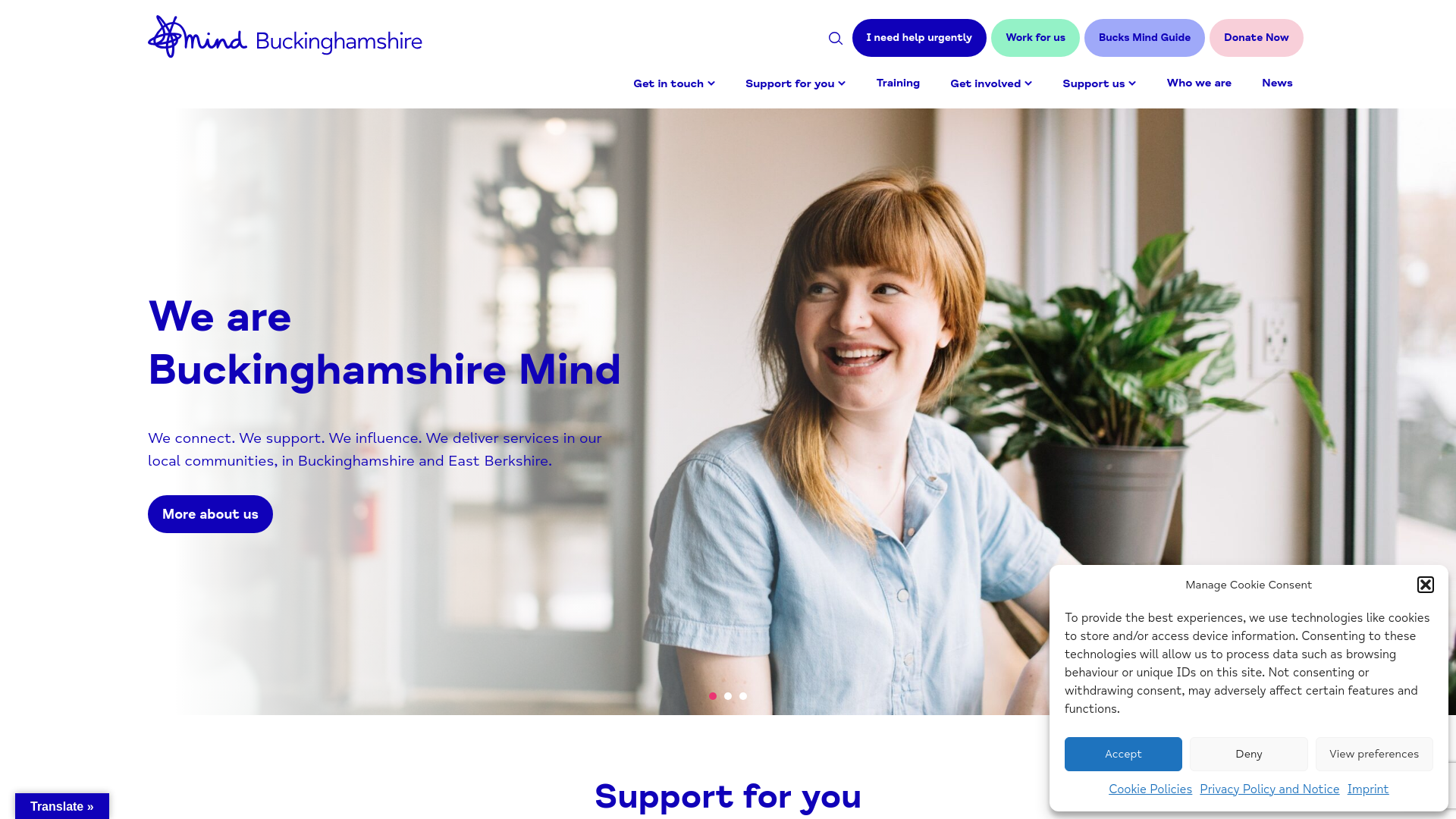 Website screenshot
