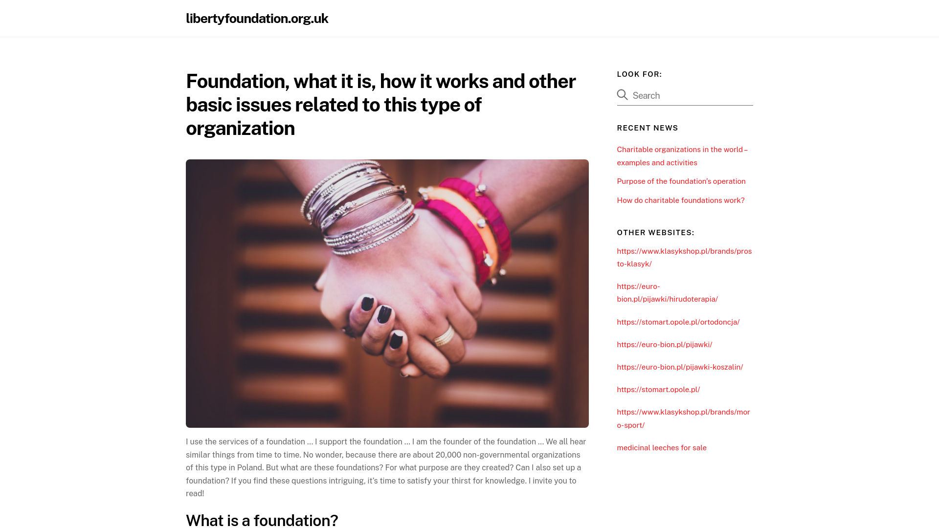 Website screenshot