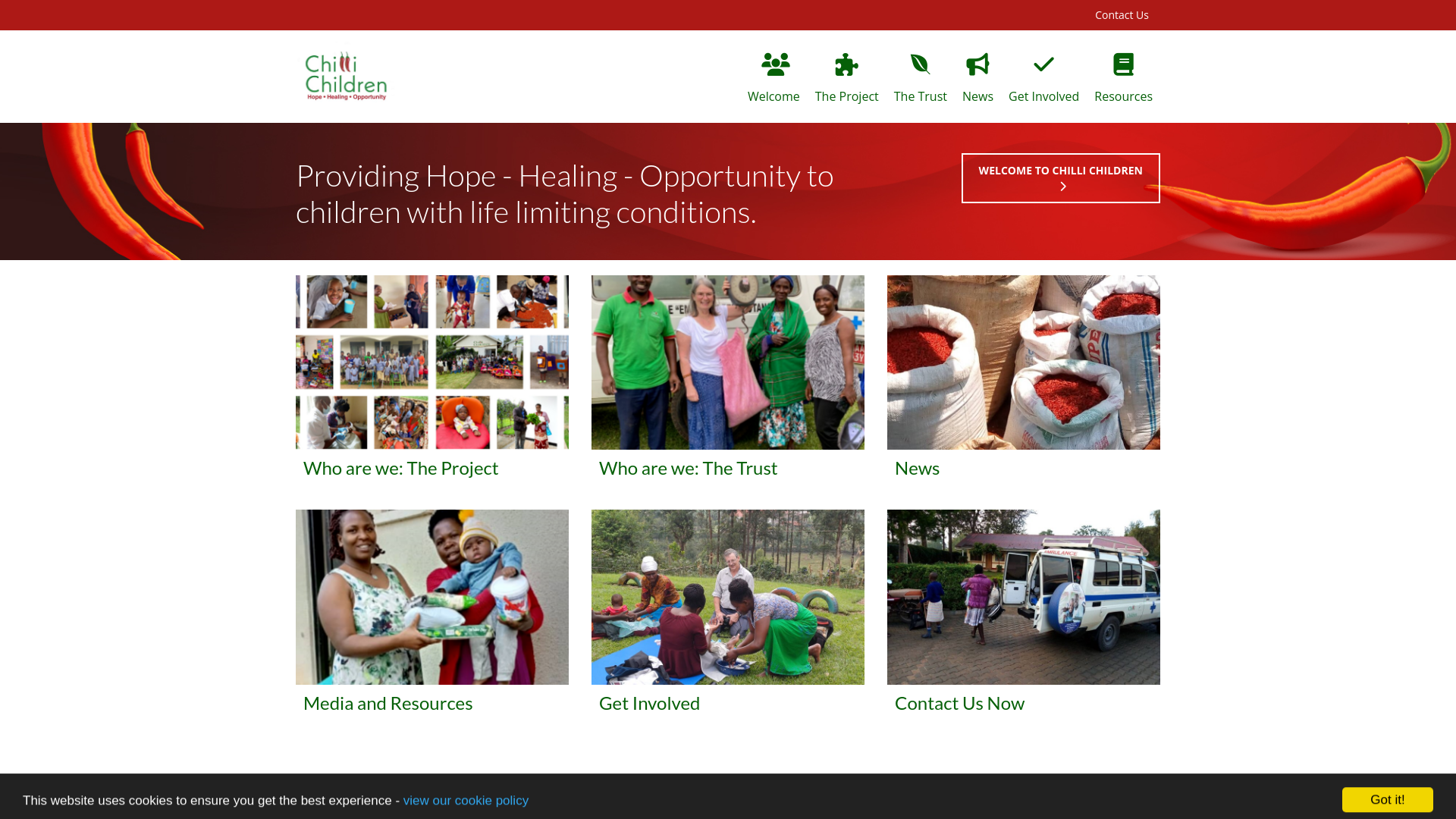 Website screenshot