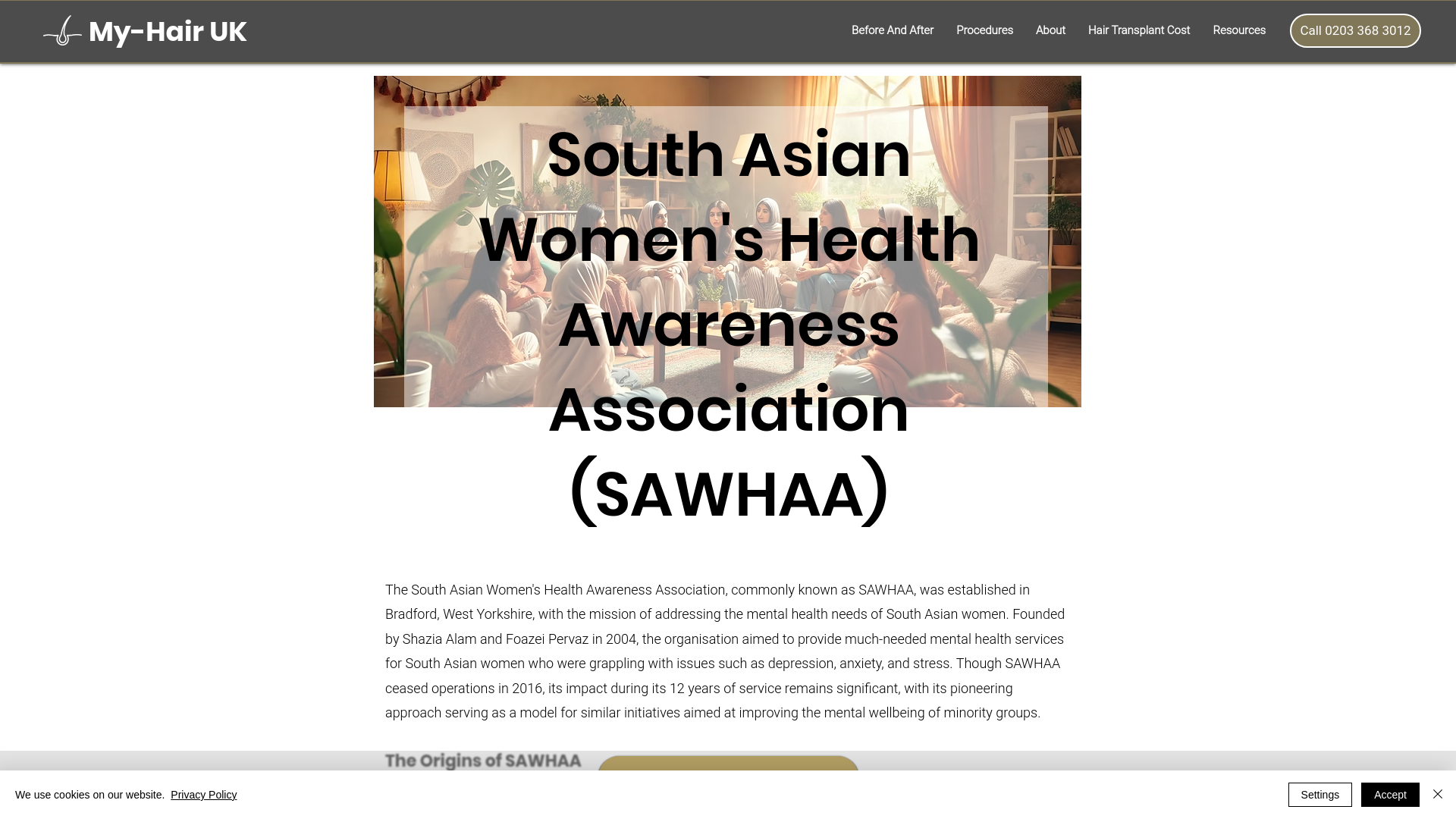 Website screenshot