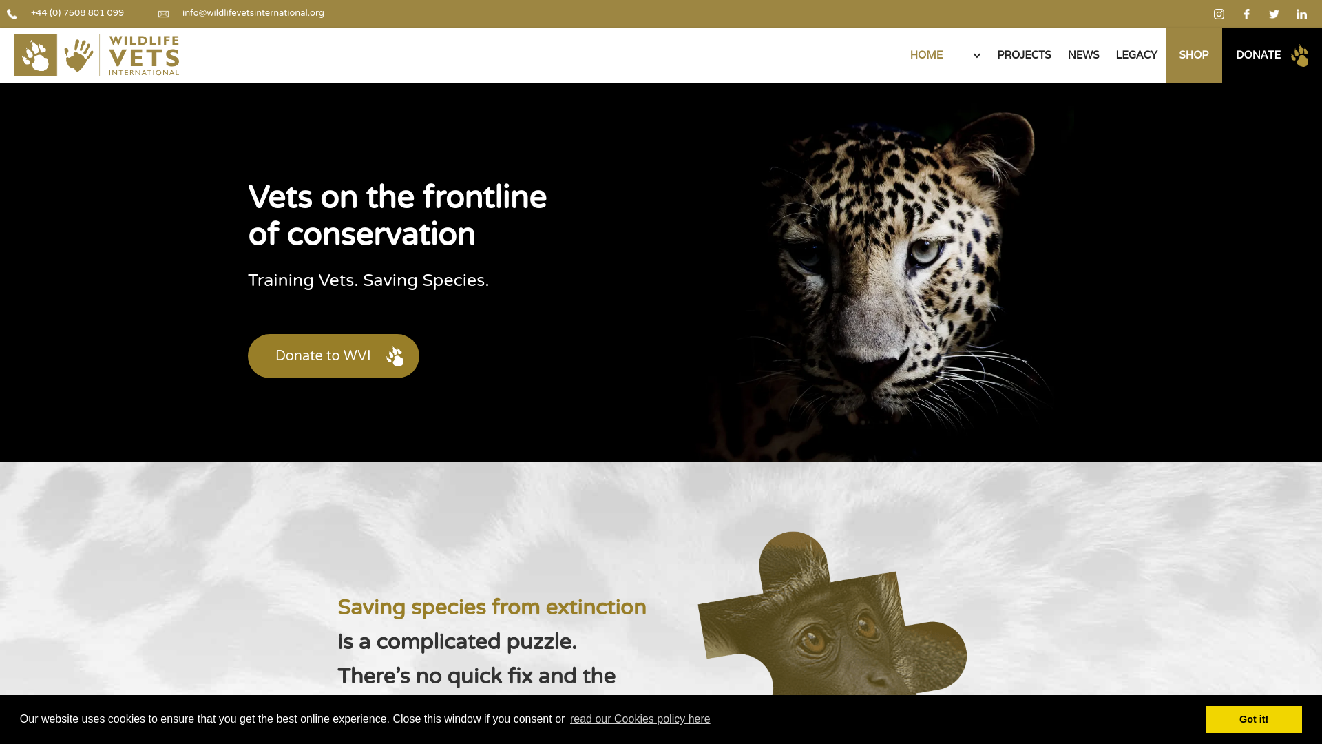 Website screenshot