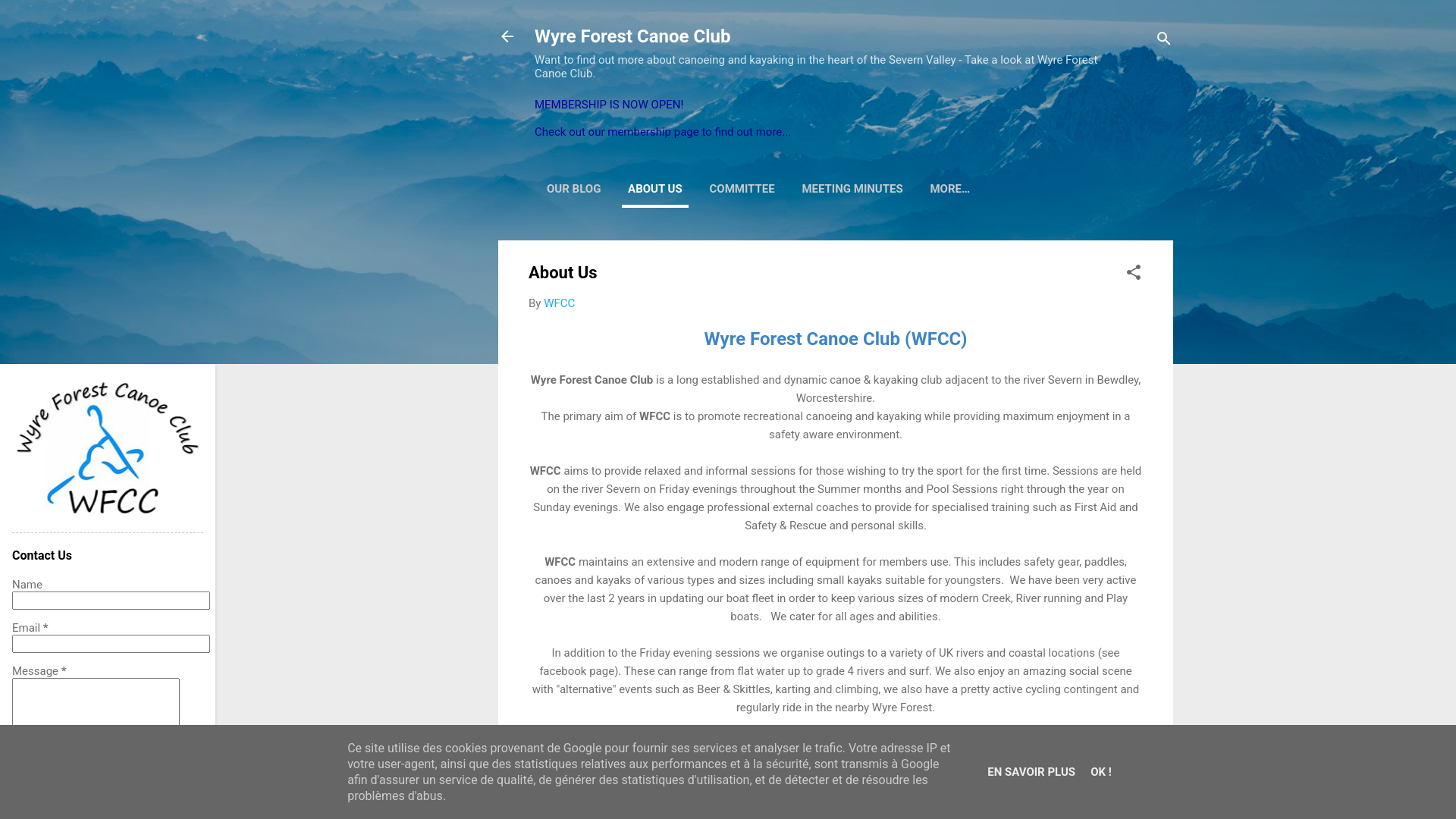 Website screenshot