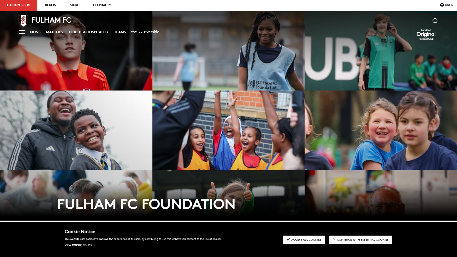 Website screenshot