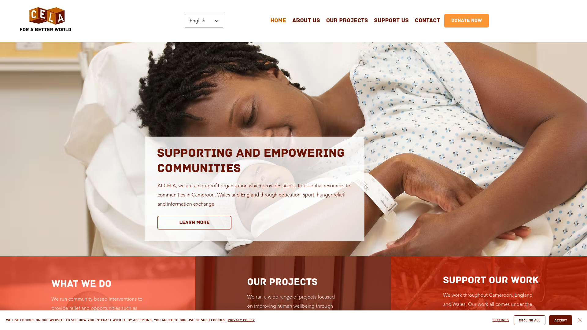 Website screenshot