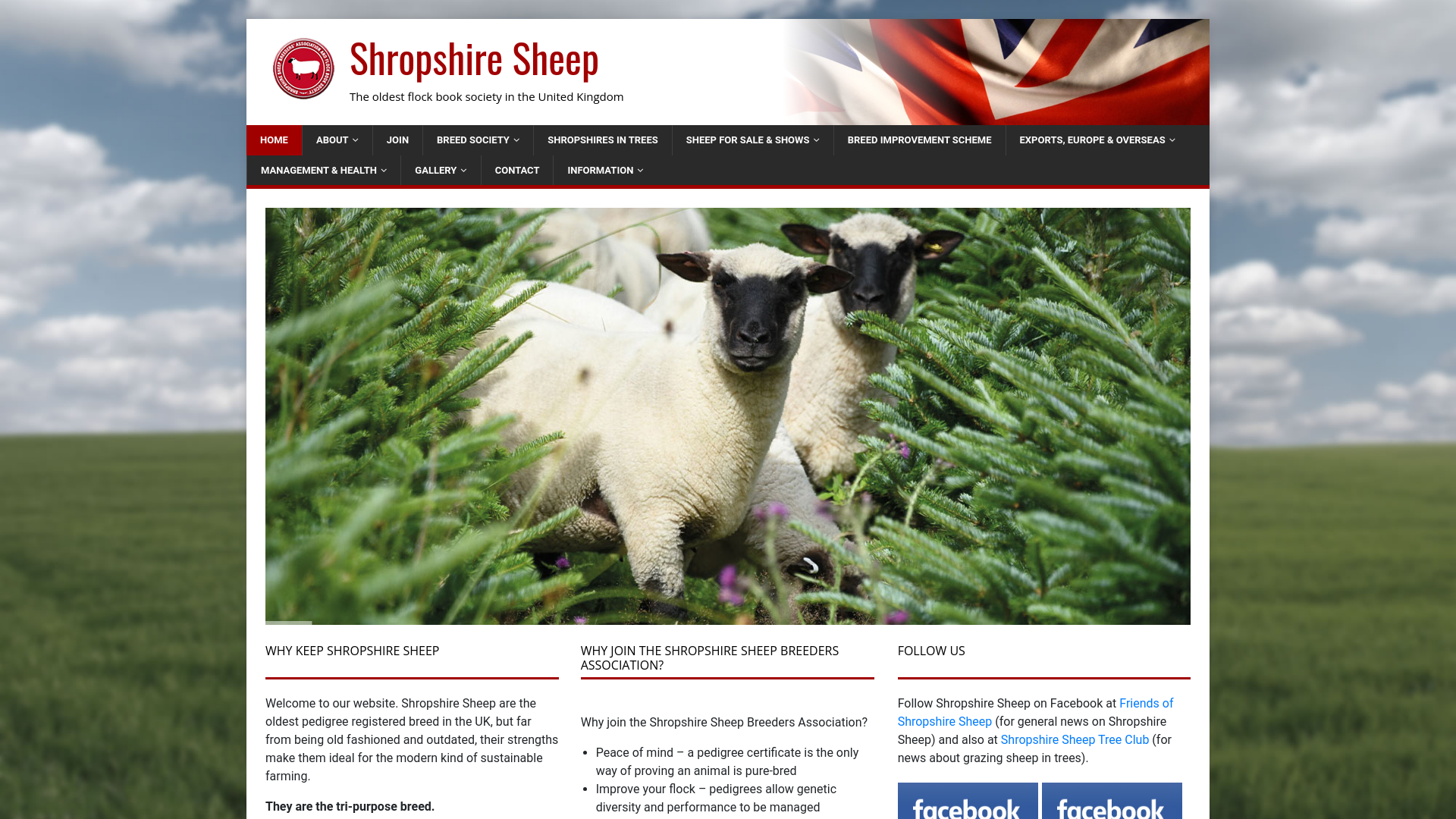 Website screenshot