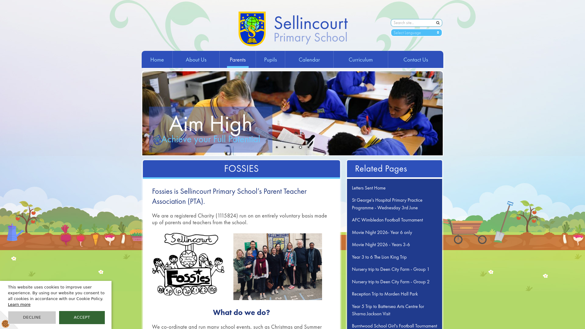 Website screenshot
