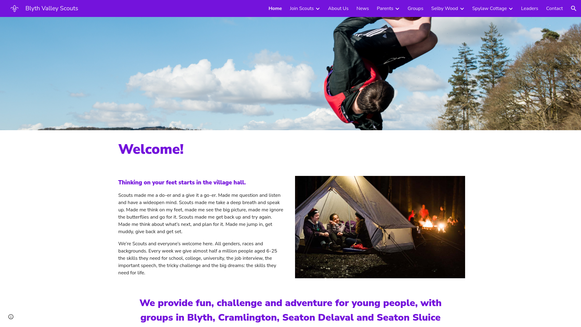 Website screenshot